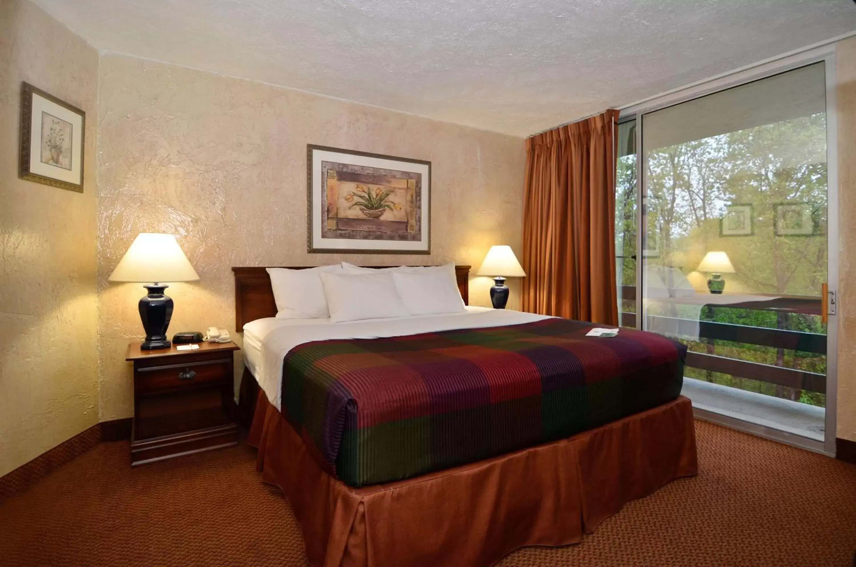 Photo of the whole room, Bed in Best Western Branson Inn and Conference Center