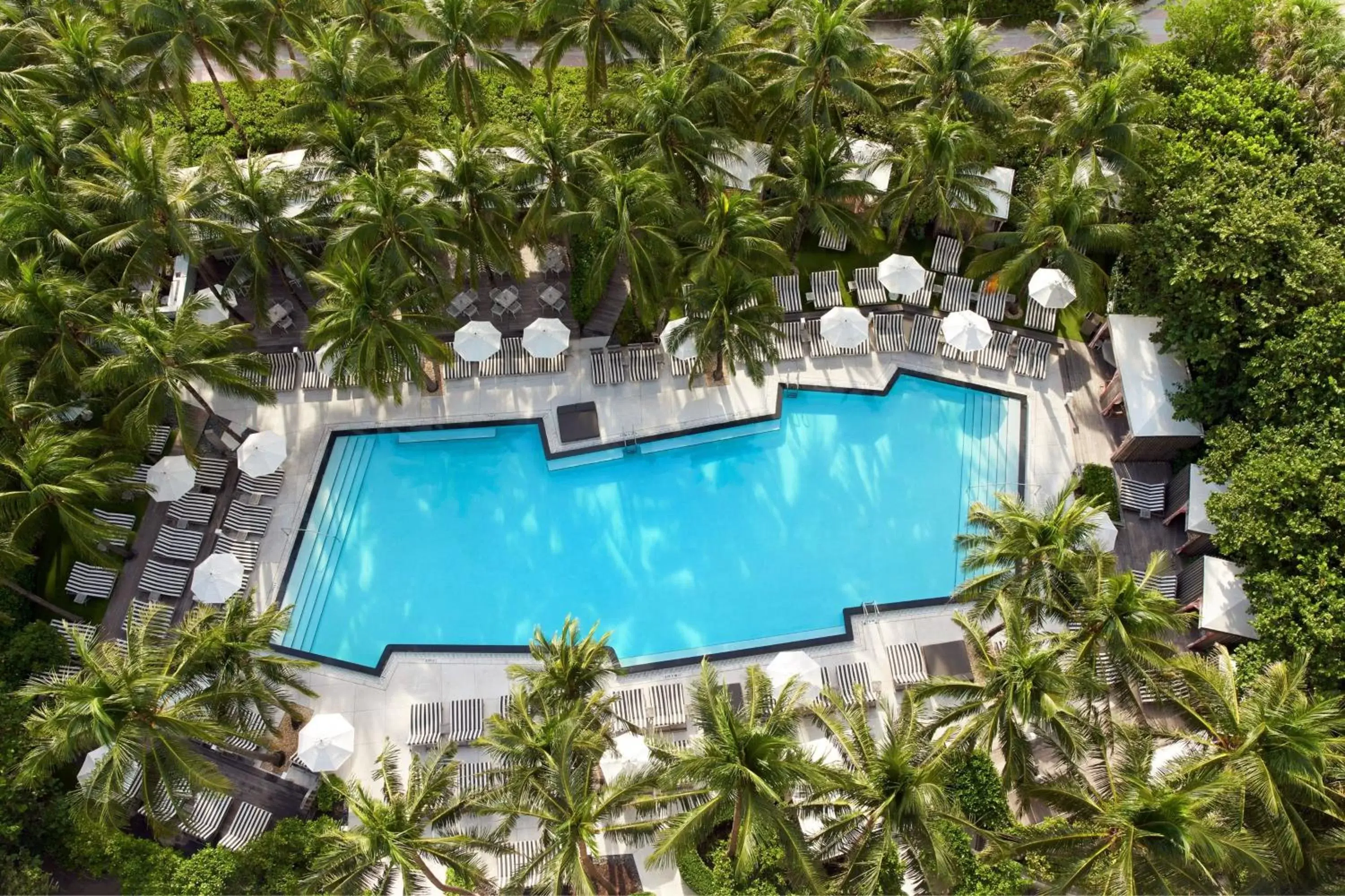 Swimming pool, Pool View in W South Beach