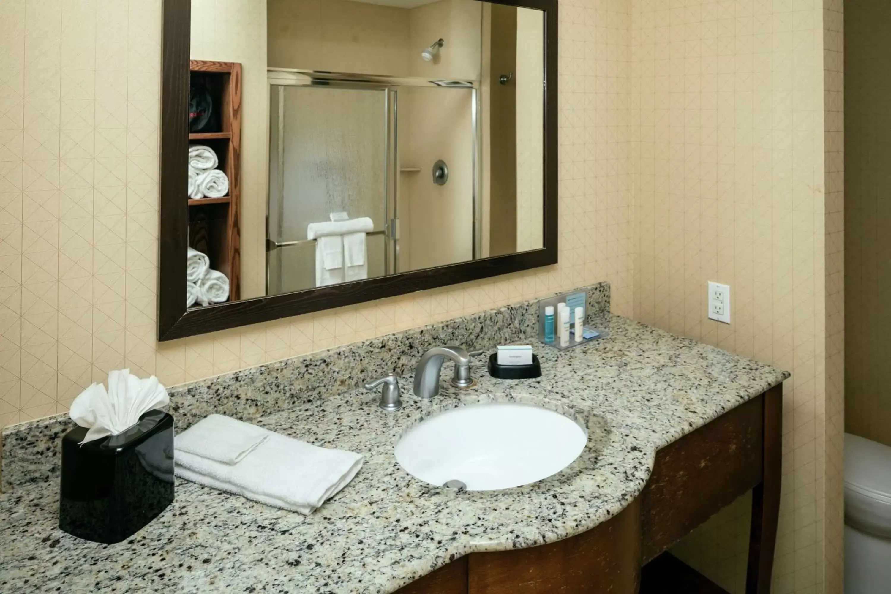 Bathroom in Hampton Inn & Suites Arroyo Grande