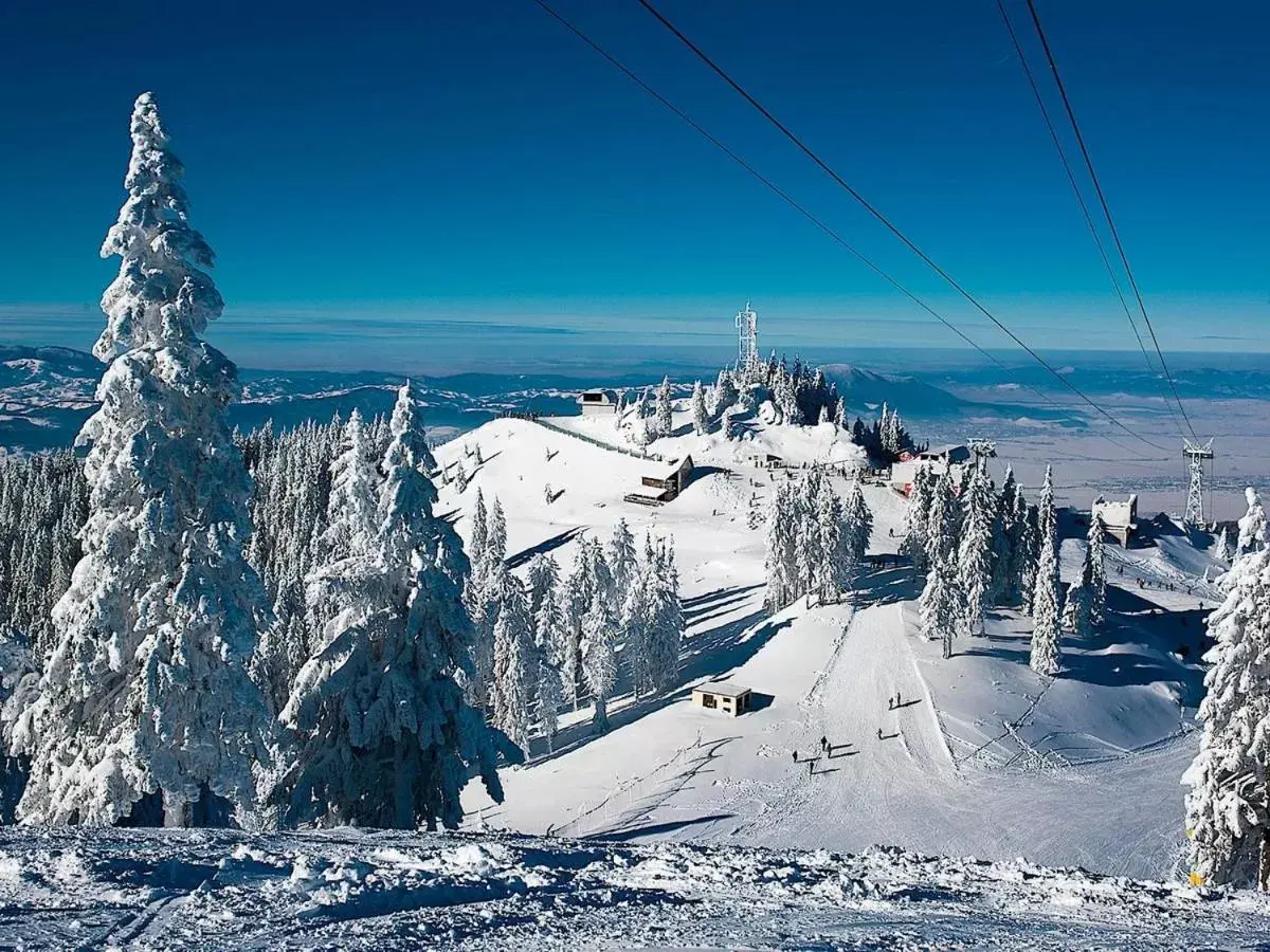 Natural landscape, Winter in Alpin ApartHotel 2302