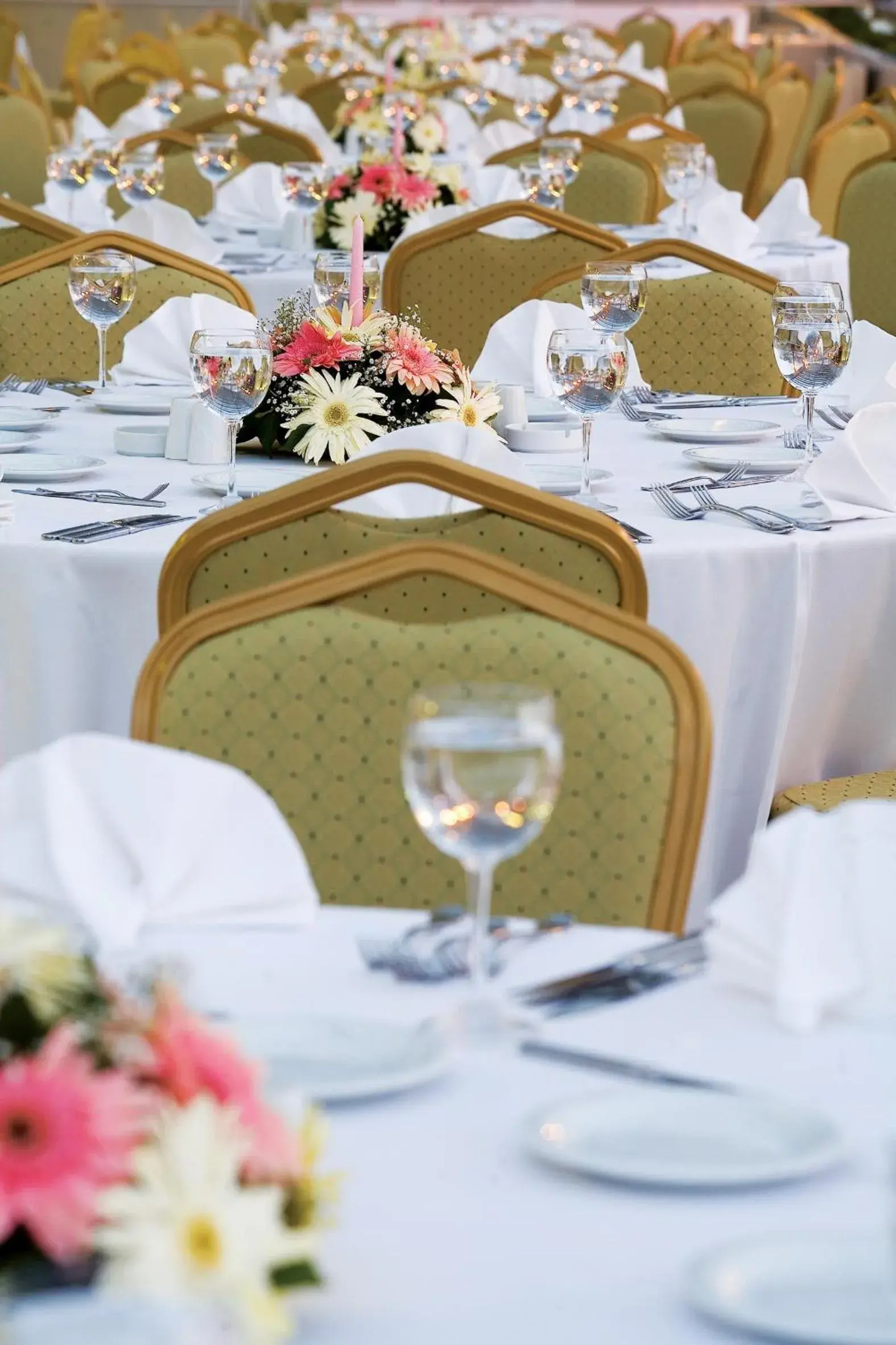 Banquet/Function facilities, Restaurant/Places to Eat in Limak Ambassadore Hotel Ankara