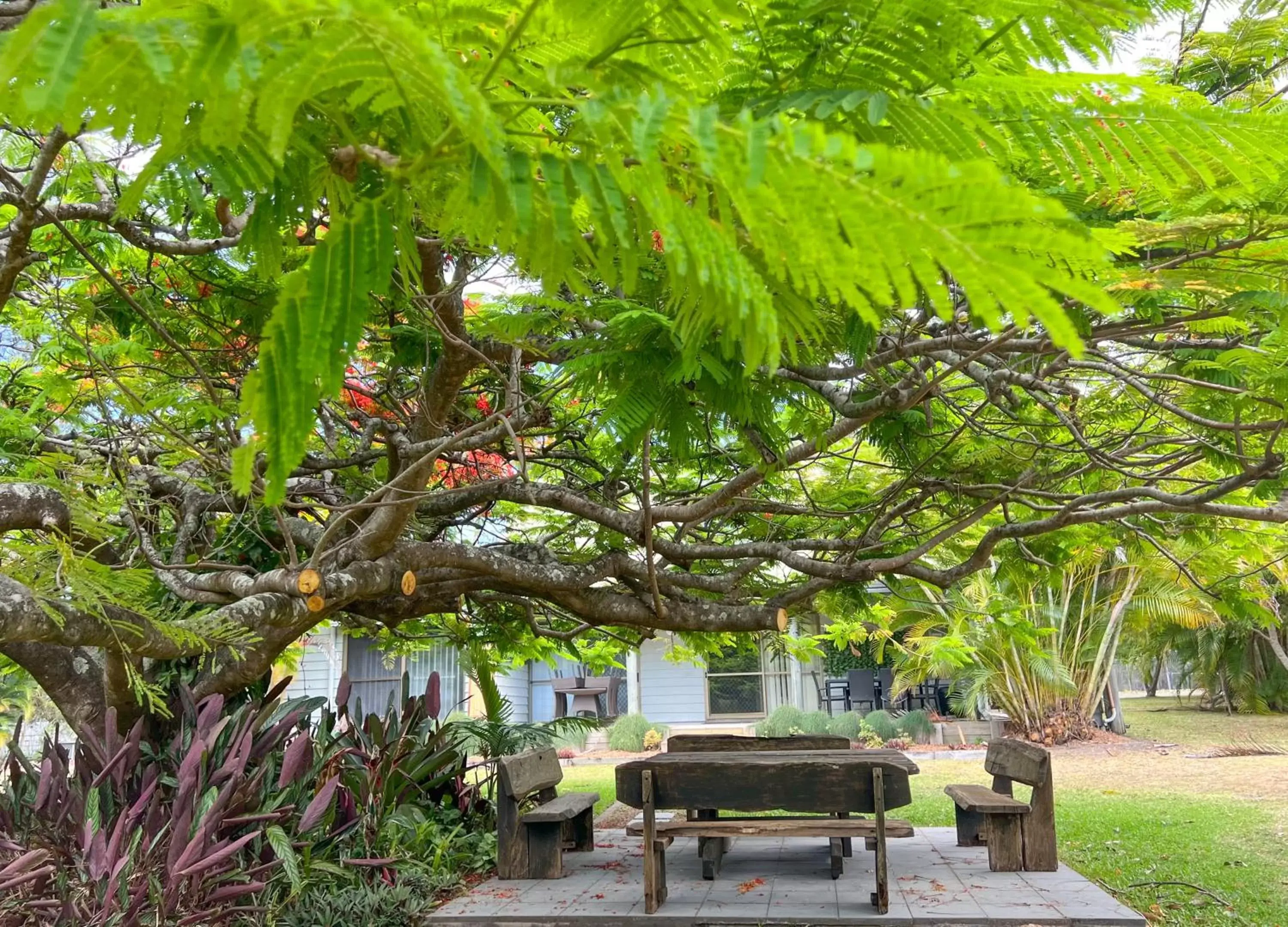 Seating area in Noosa North Shore Retreat