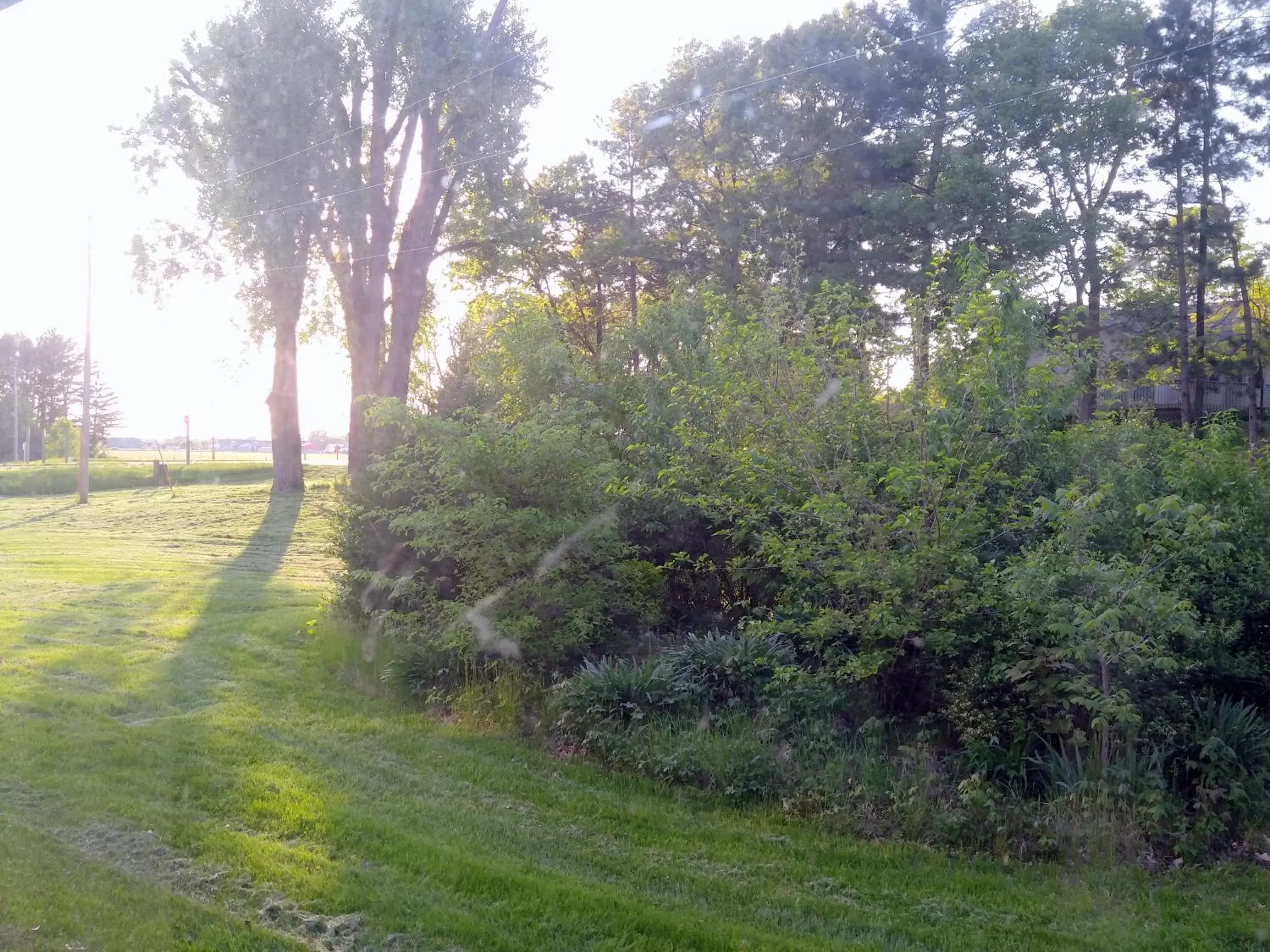 Garden in The Usonian Inn LLC