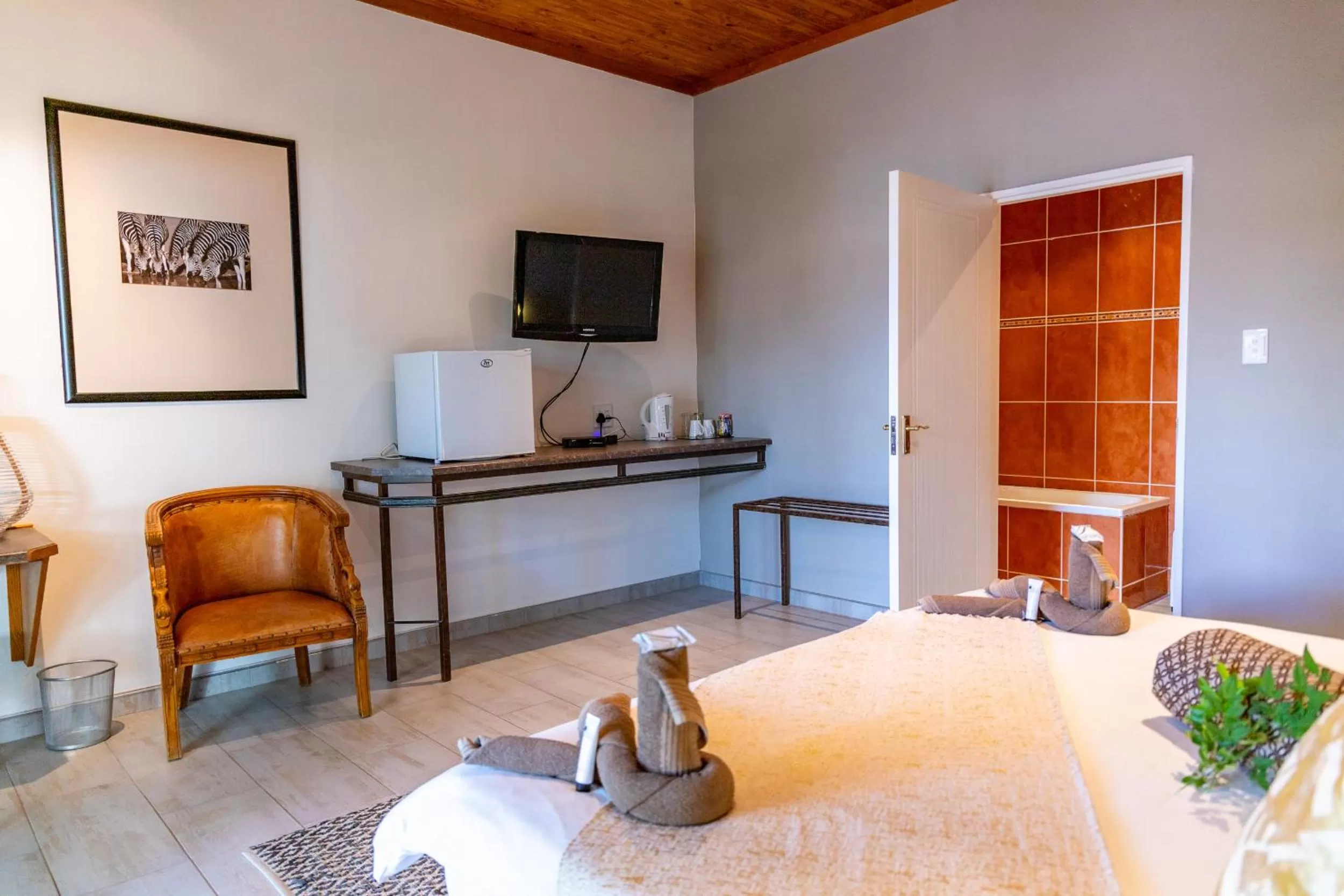 TV and multimedia in Out of Africa Town Lodge