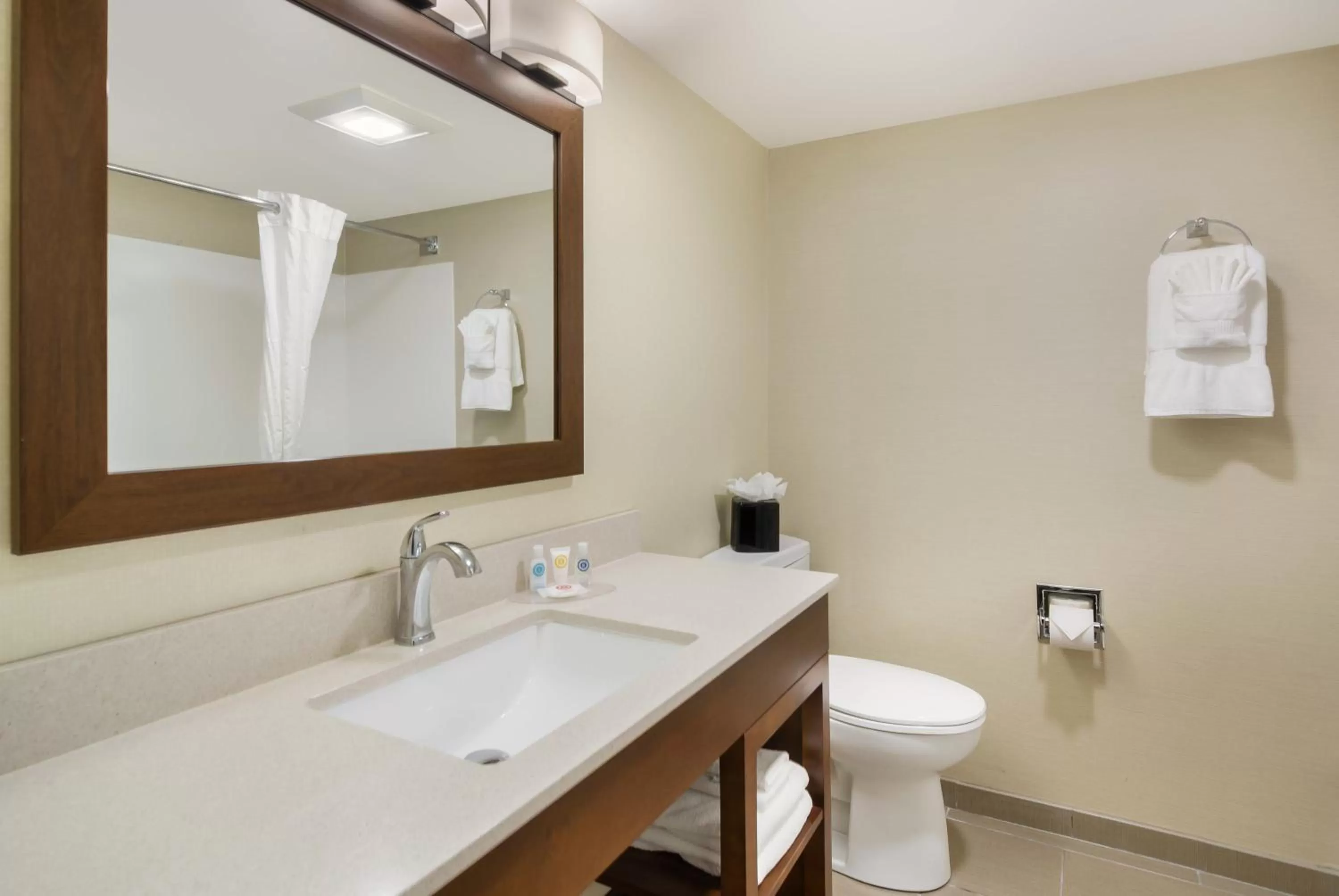Bathroom in Comfort Inn Lexington Virginia Horse Center
