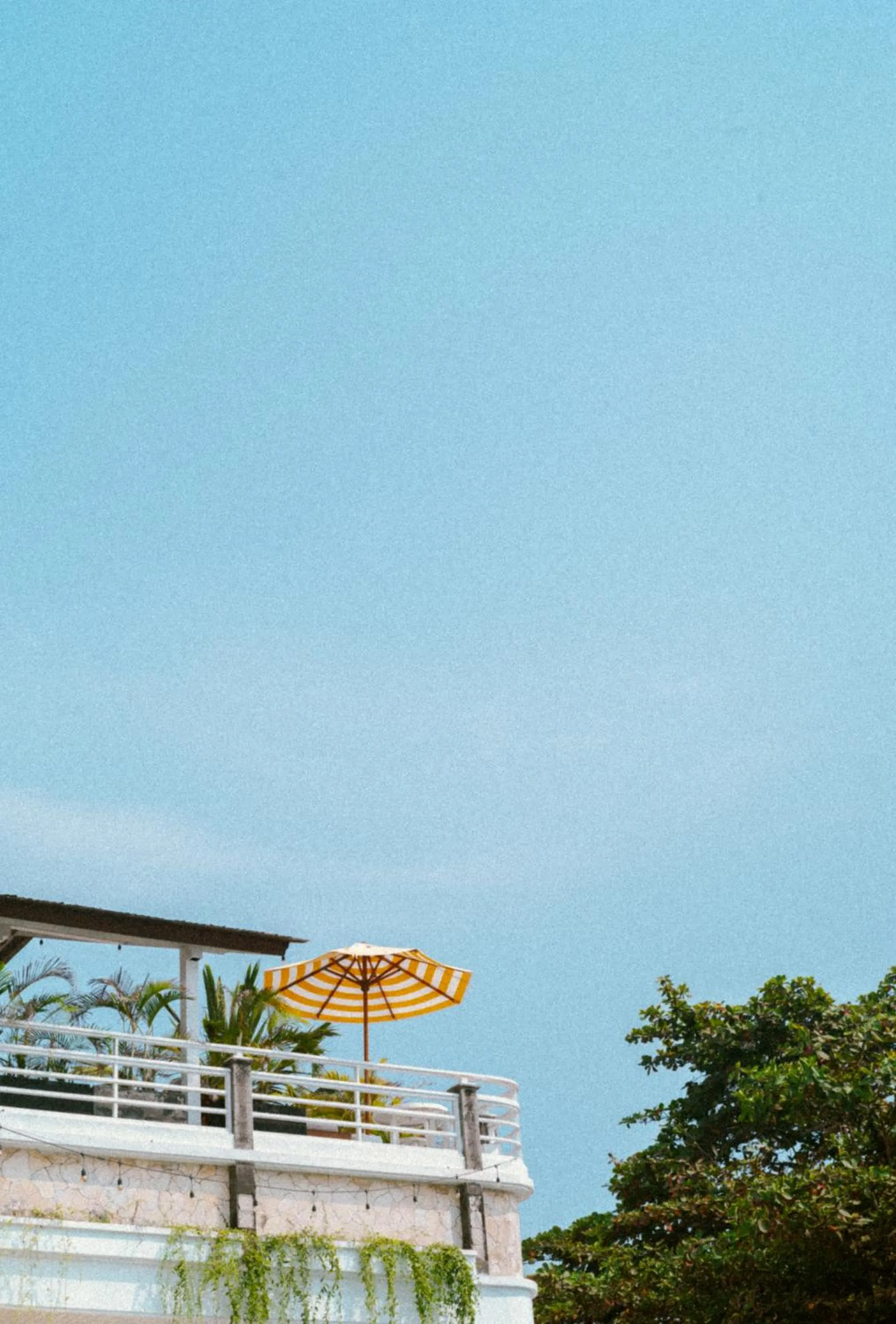 View (from property/room) in Bombora Medewi