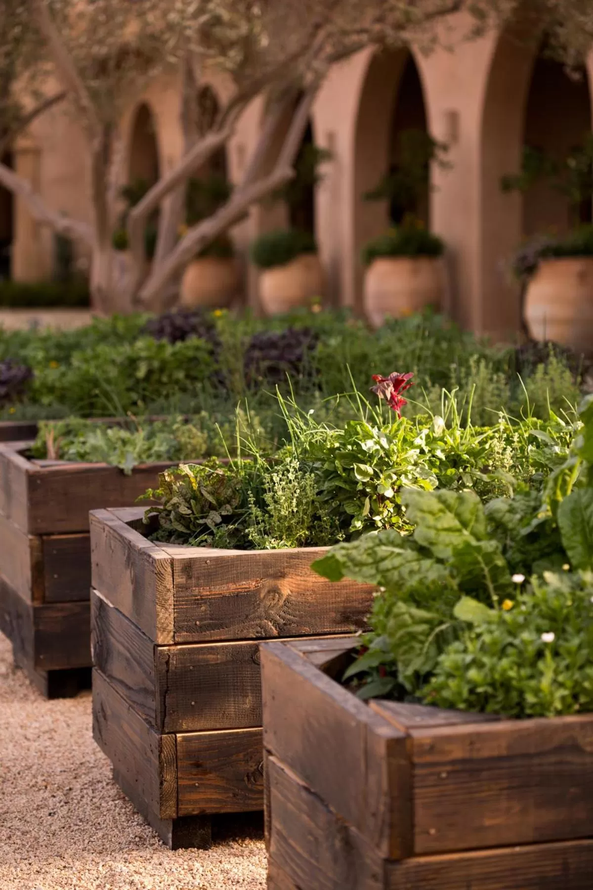 Garden in Allegretto Vineyard Resort Paso Robles