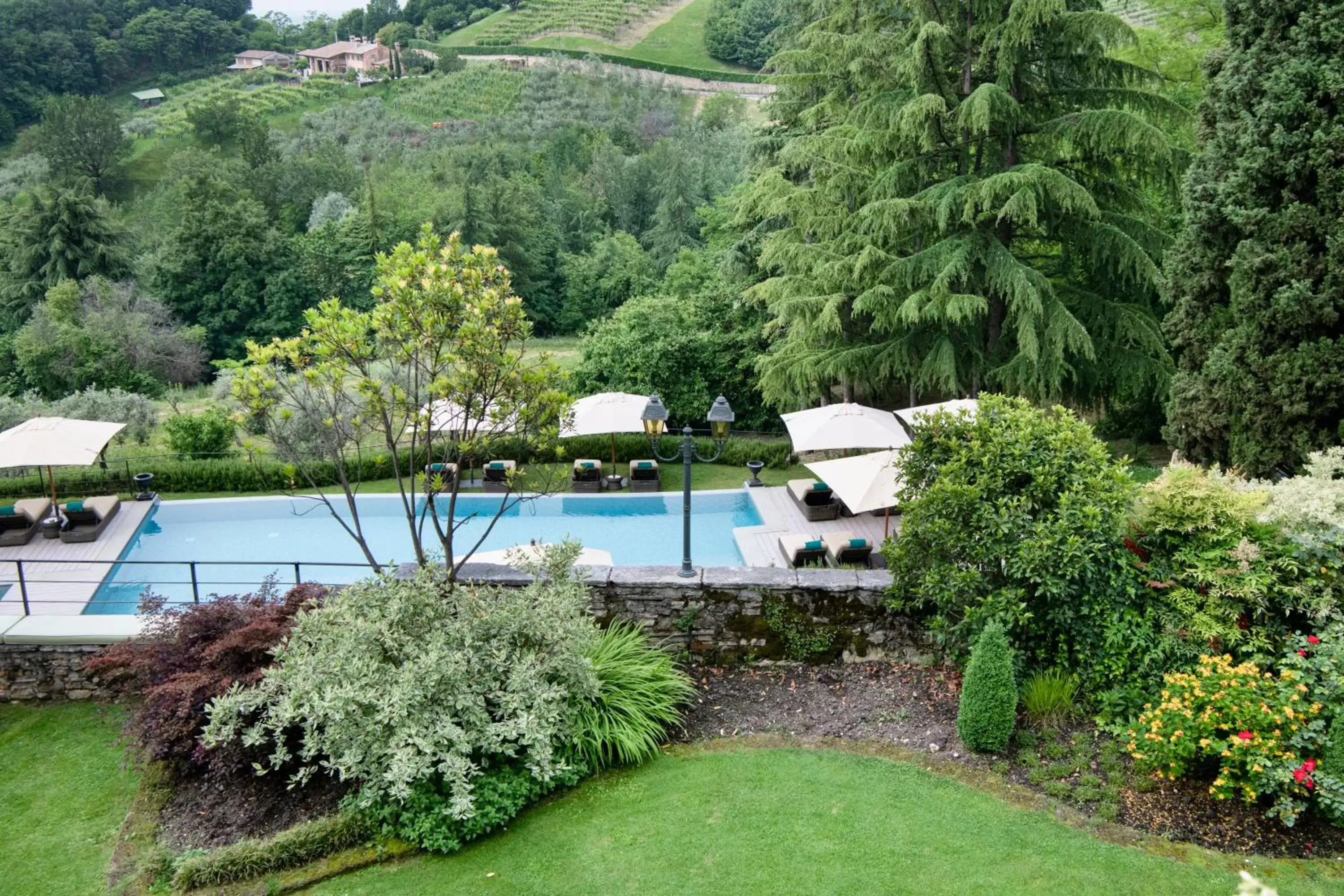 Natural landscape, Swimming Pool in Hotel Villa Cipriani