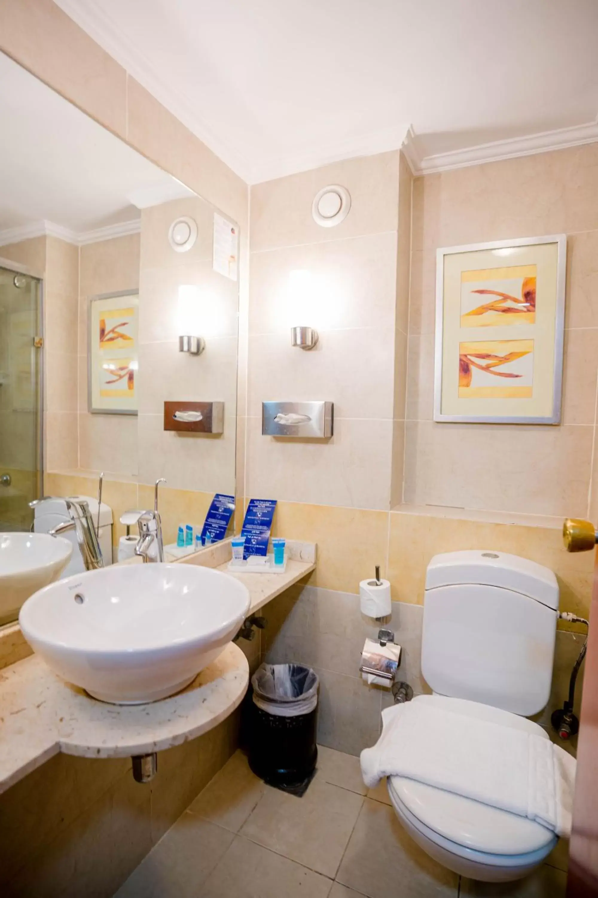 Toilet, Bathroom in Marina Sharm Hotel