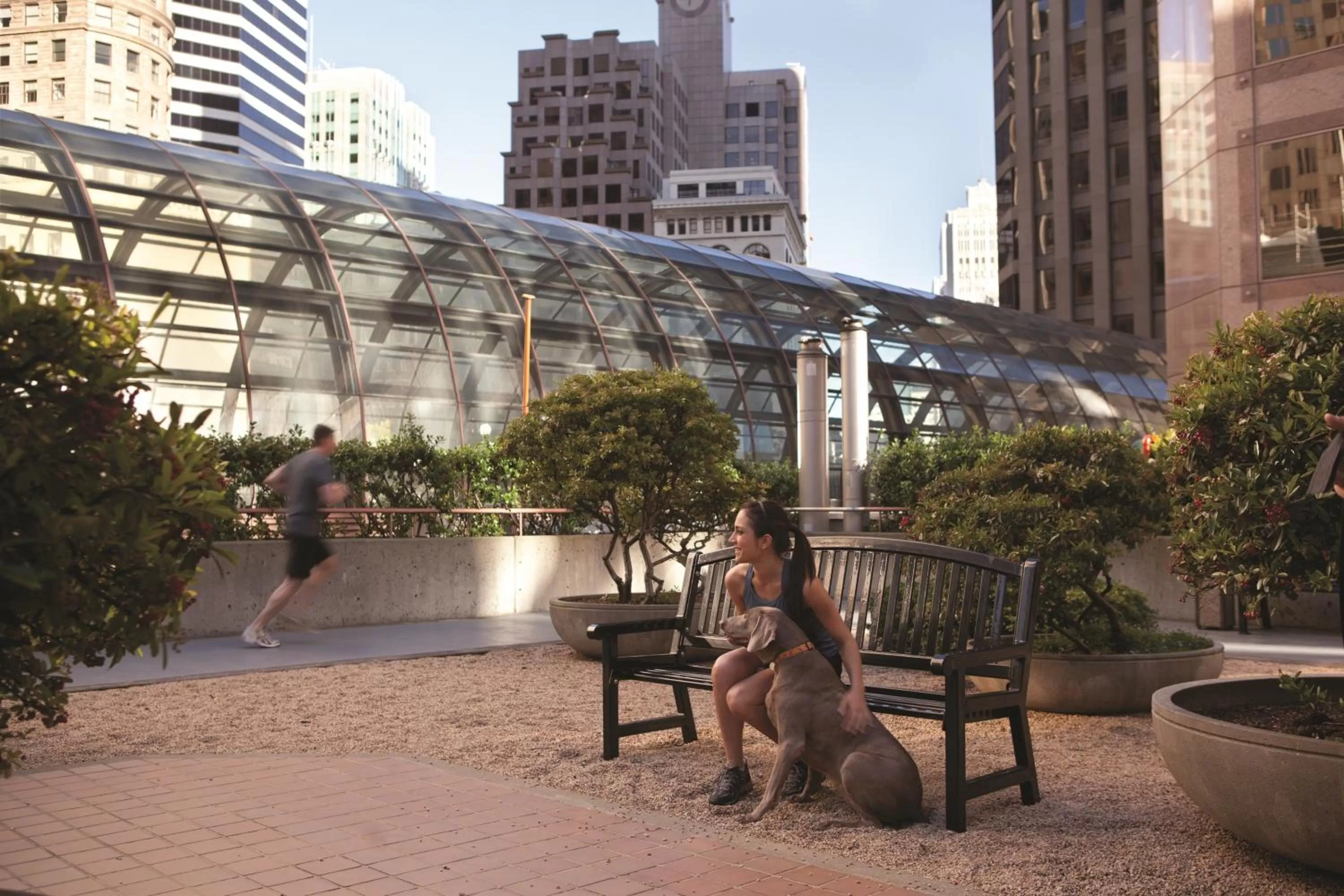 Balcony/Terrace in Galleria Park Hotel