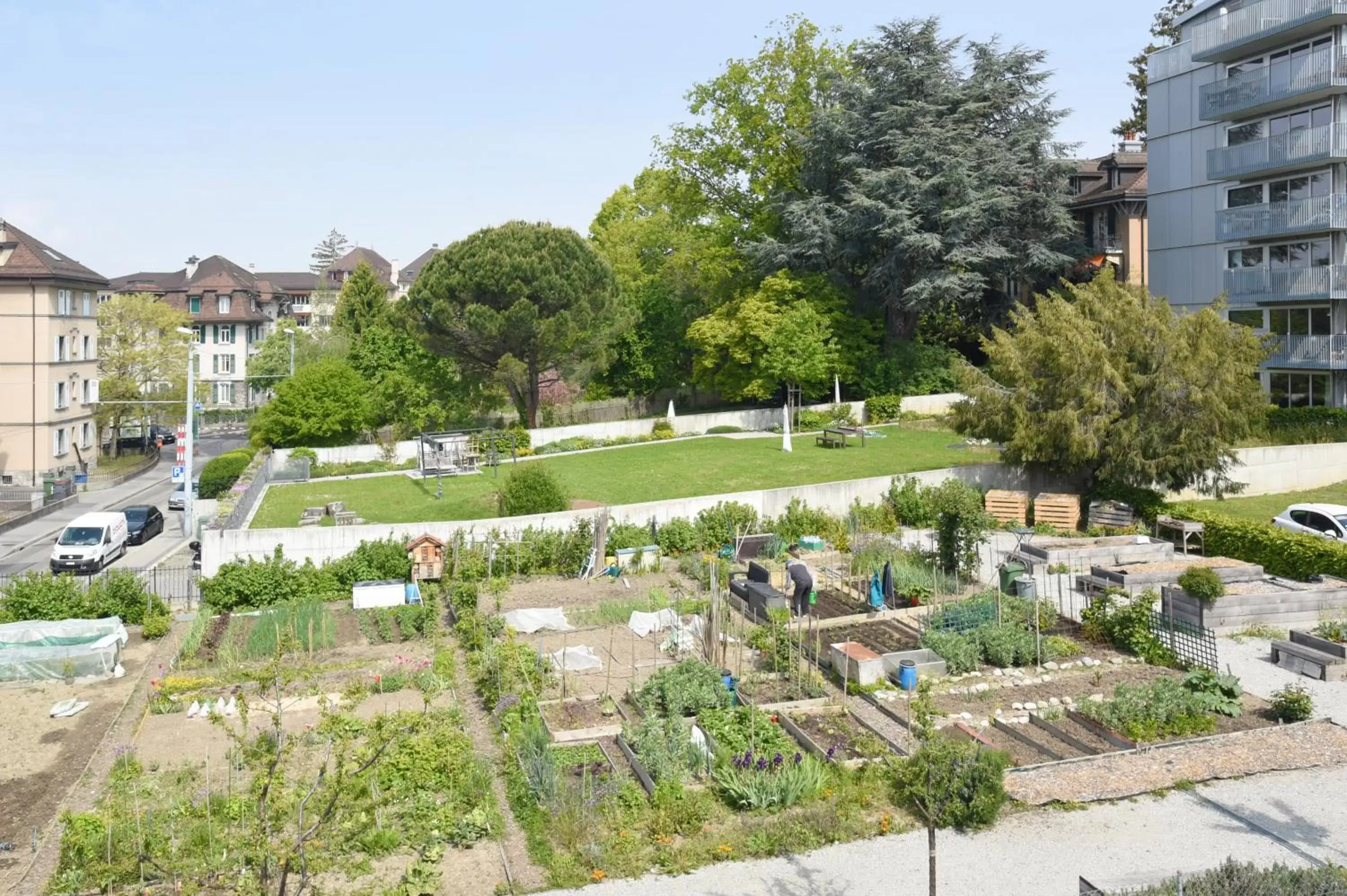 Quiet street view in Tulip Inn Beaulieu Lausanne Quiet street view in Tulip Inn Beaulieu Lausanne