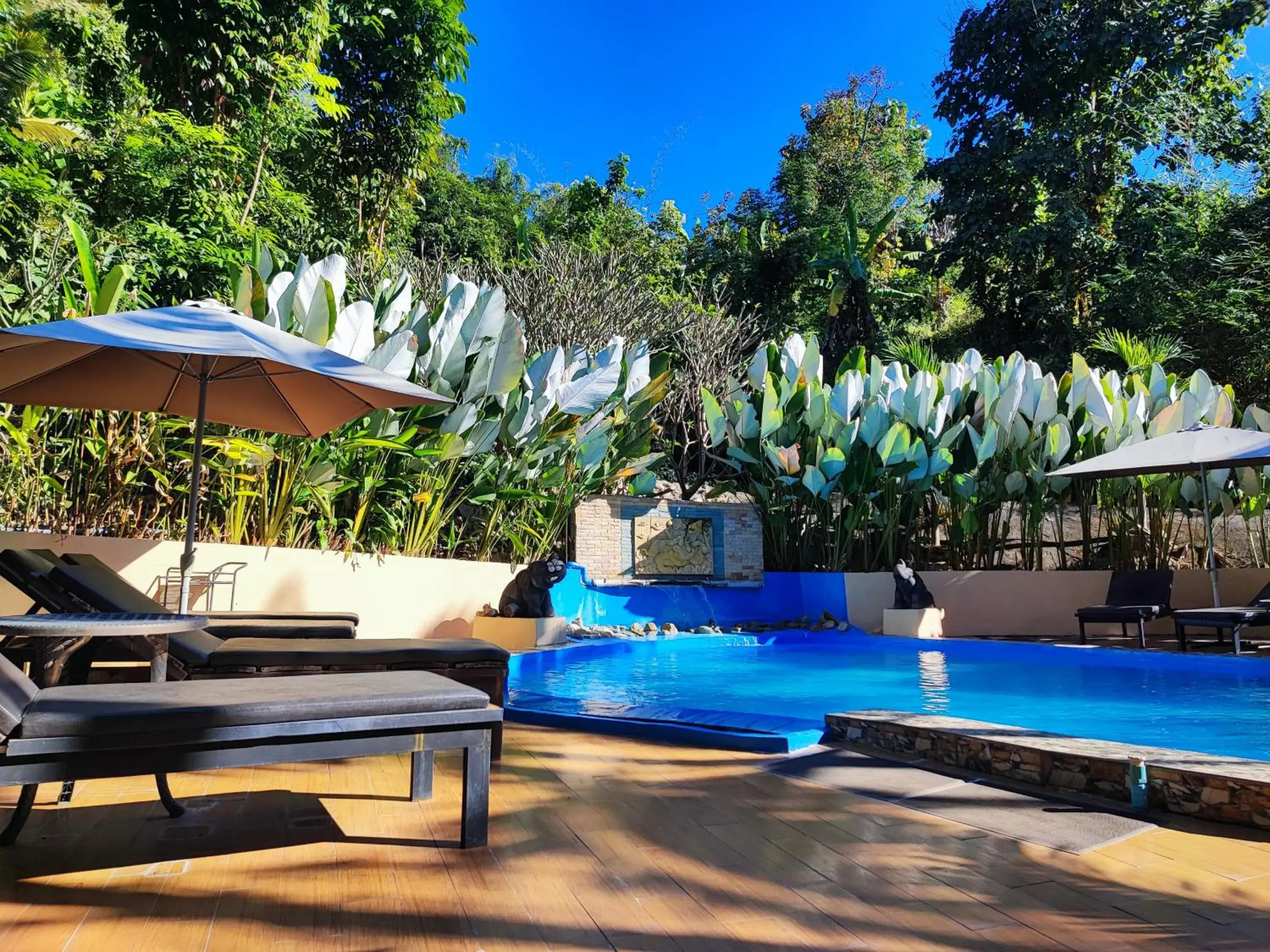 Swimming Pool in Chang Pai Resort