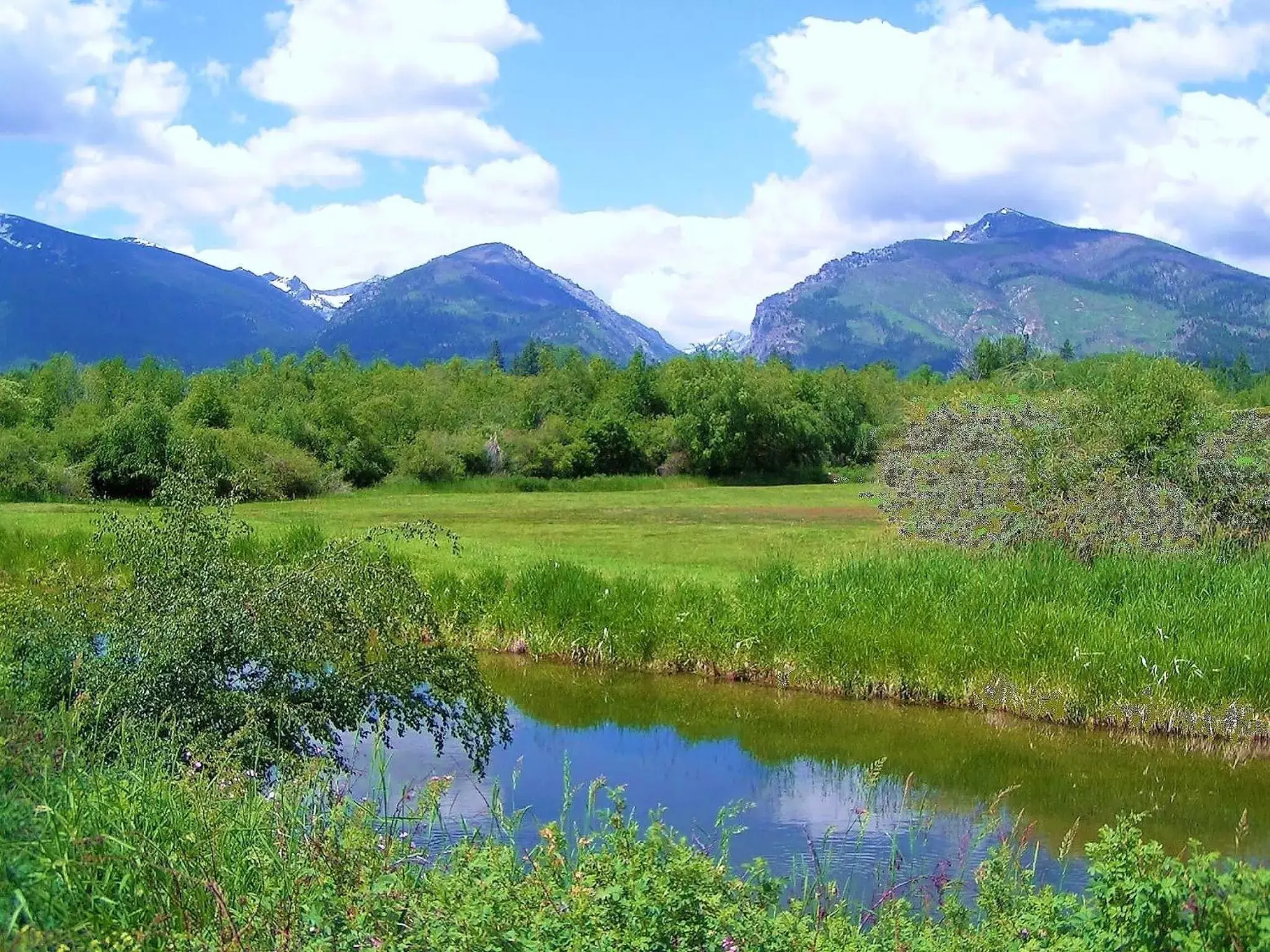 Area and facilities, Natural Landscape in Quality Inn Hamilton Bitterroot Valley