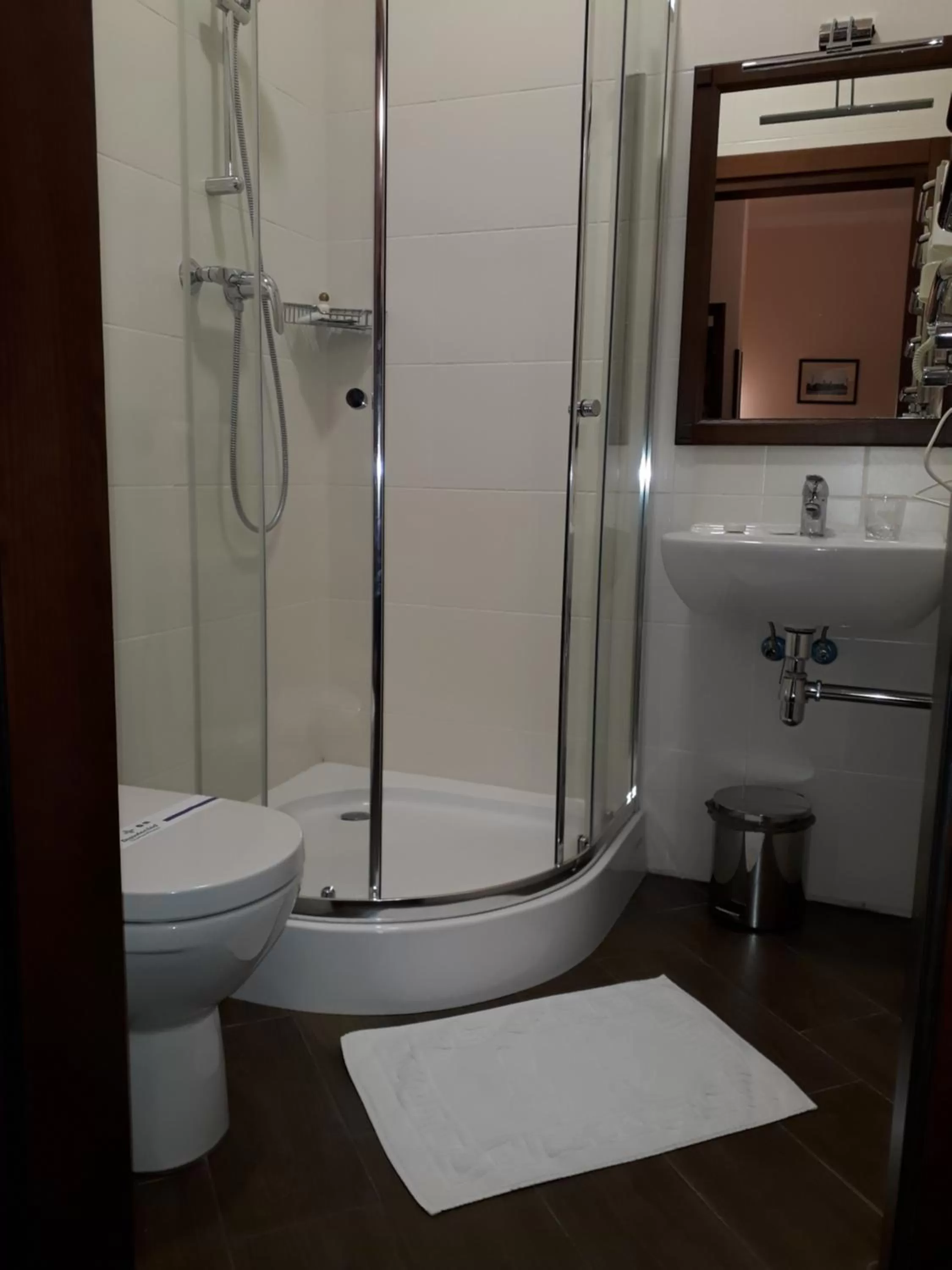 Bathroom in Sicheslav Ekaterinoslav