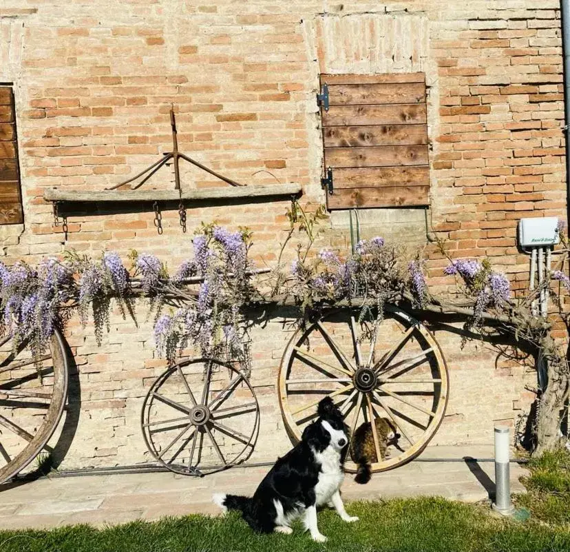 Pets in La Casa di Valeria - Modena