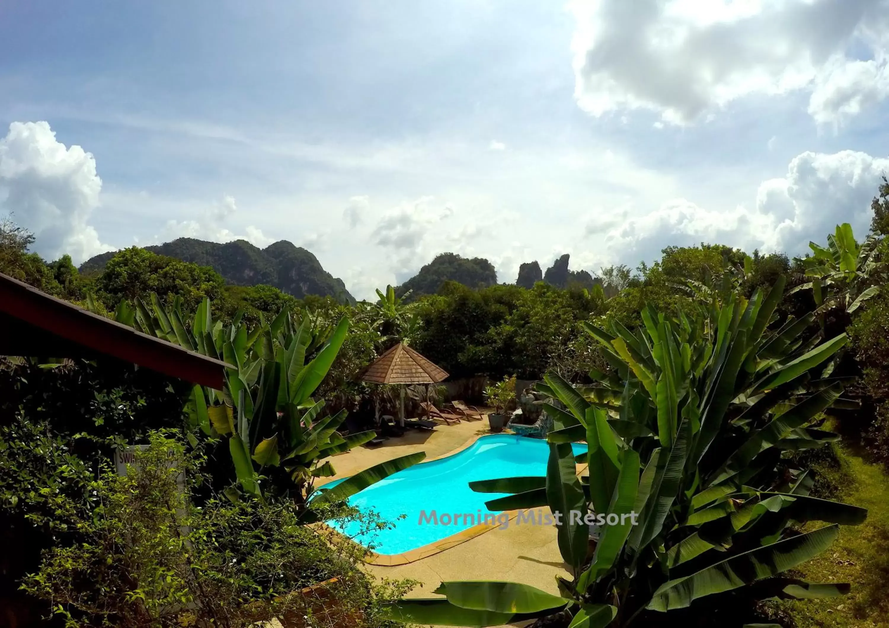 Mountain view, Pool View in Khao Sok Morning Mist Resort