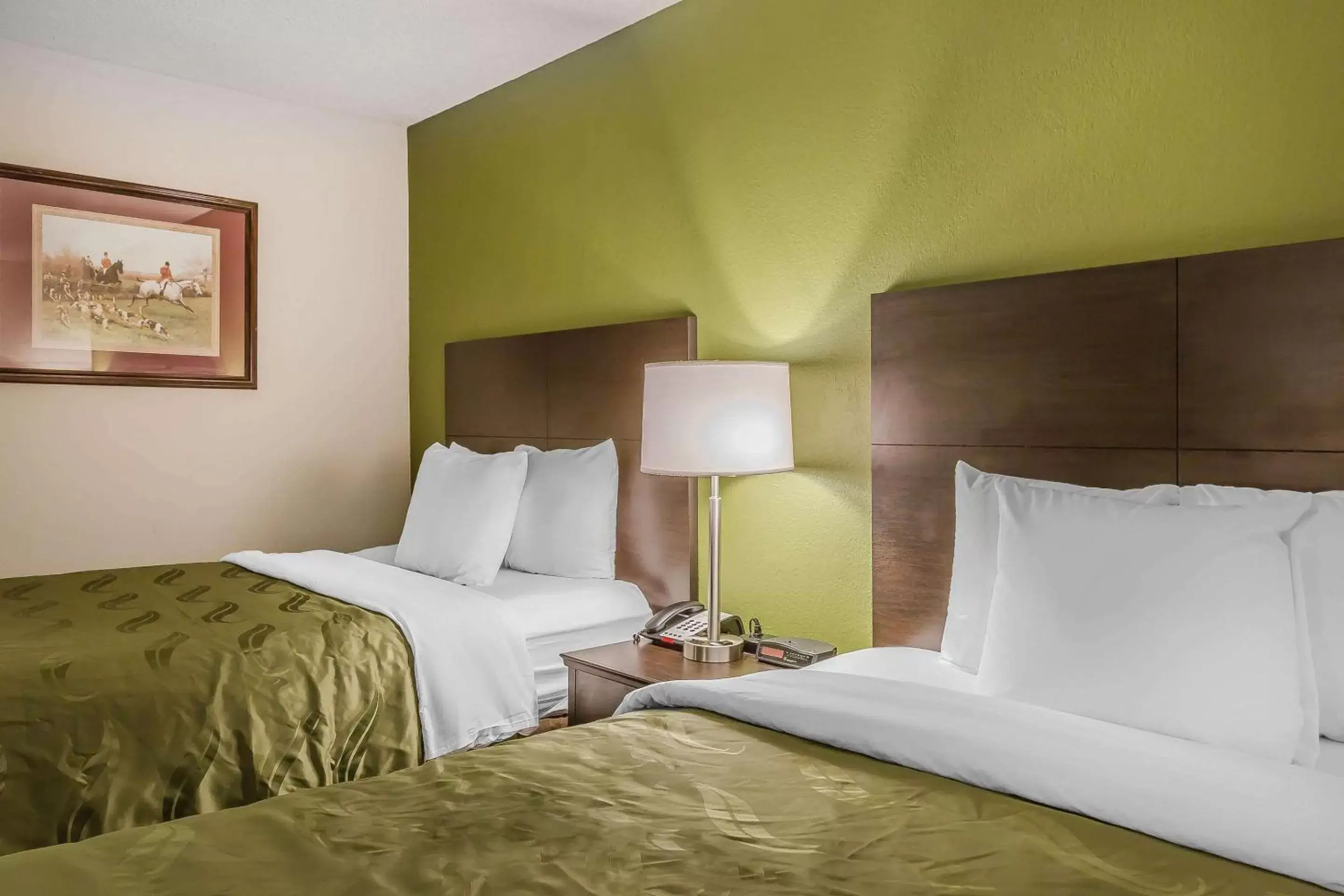 Photo of the whole room, Bed in Quality Inn Culpeper Photo of the whole room, Bed in Quality Inn Culpeper