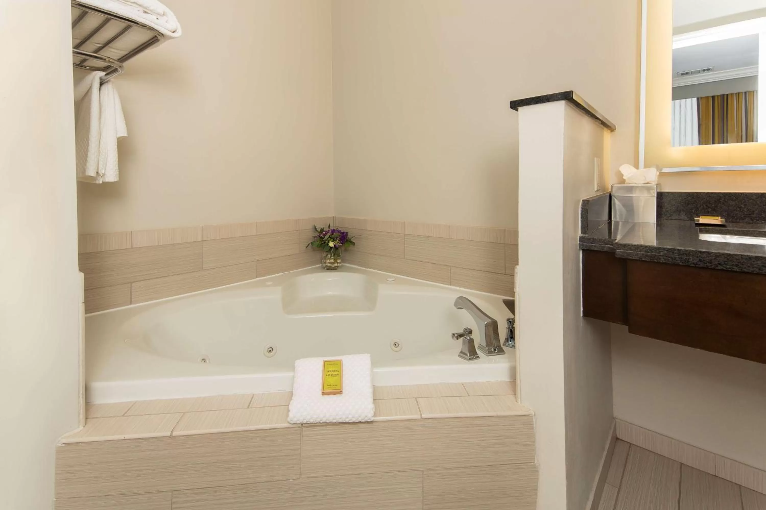 Bathroom in DoubleTree by Hilton Historic Savannah