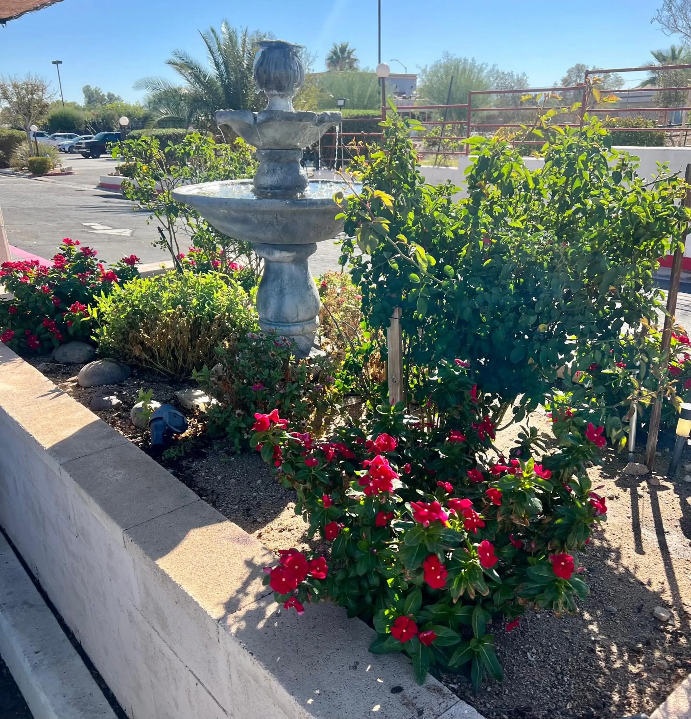 Garden in Park Avenue Inn & Suites