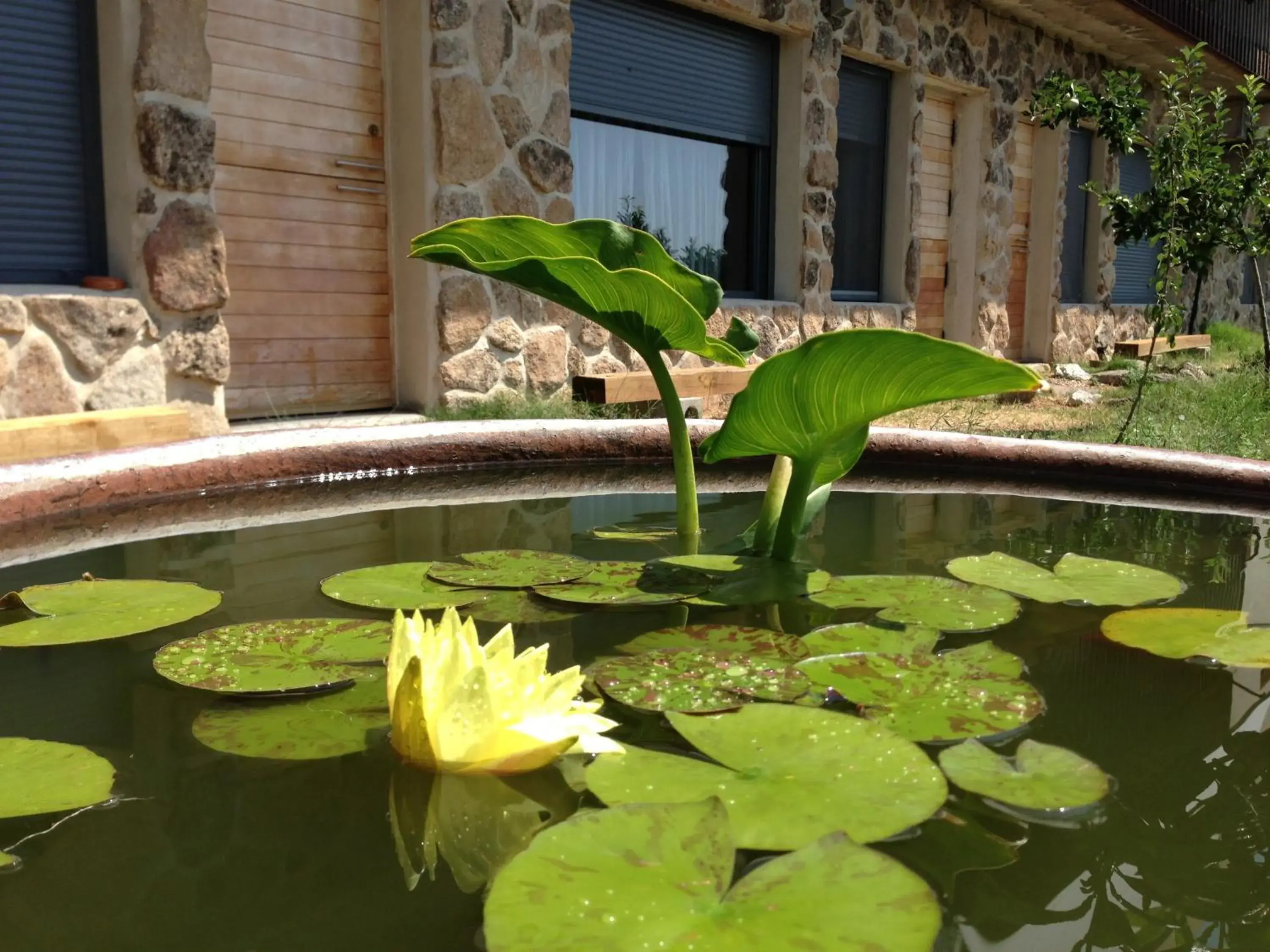 Facade/entrance, Swimming Pool in Hotel La Canela