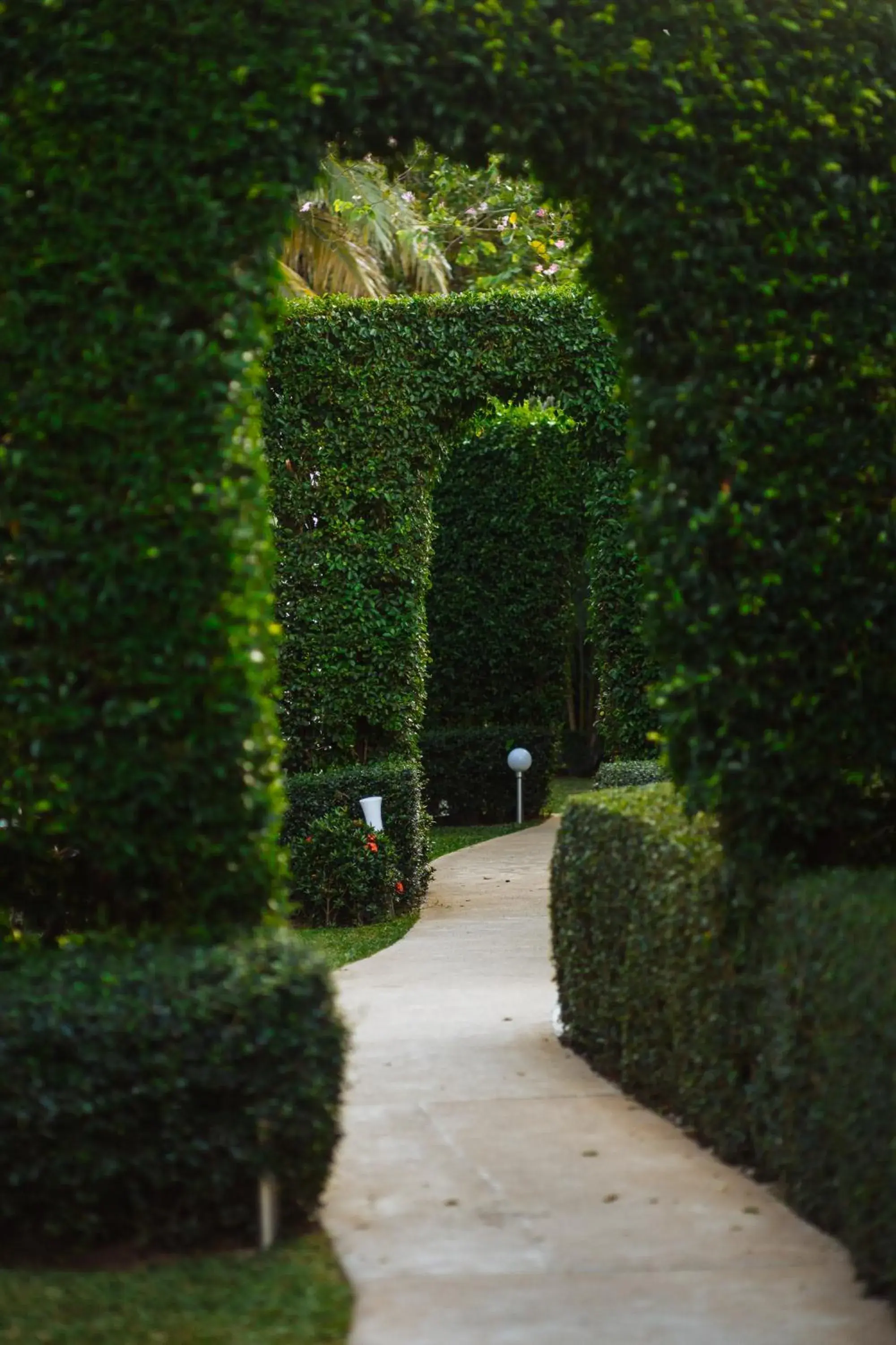 Garden in Sea Valley Resort