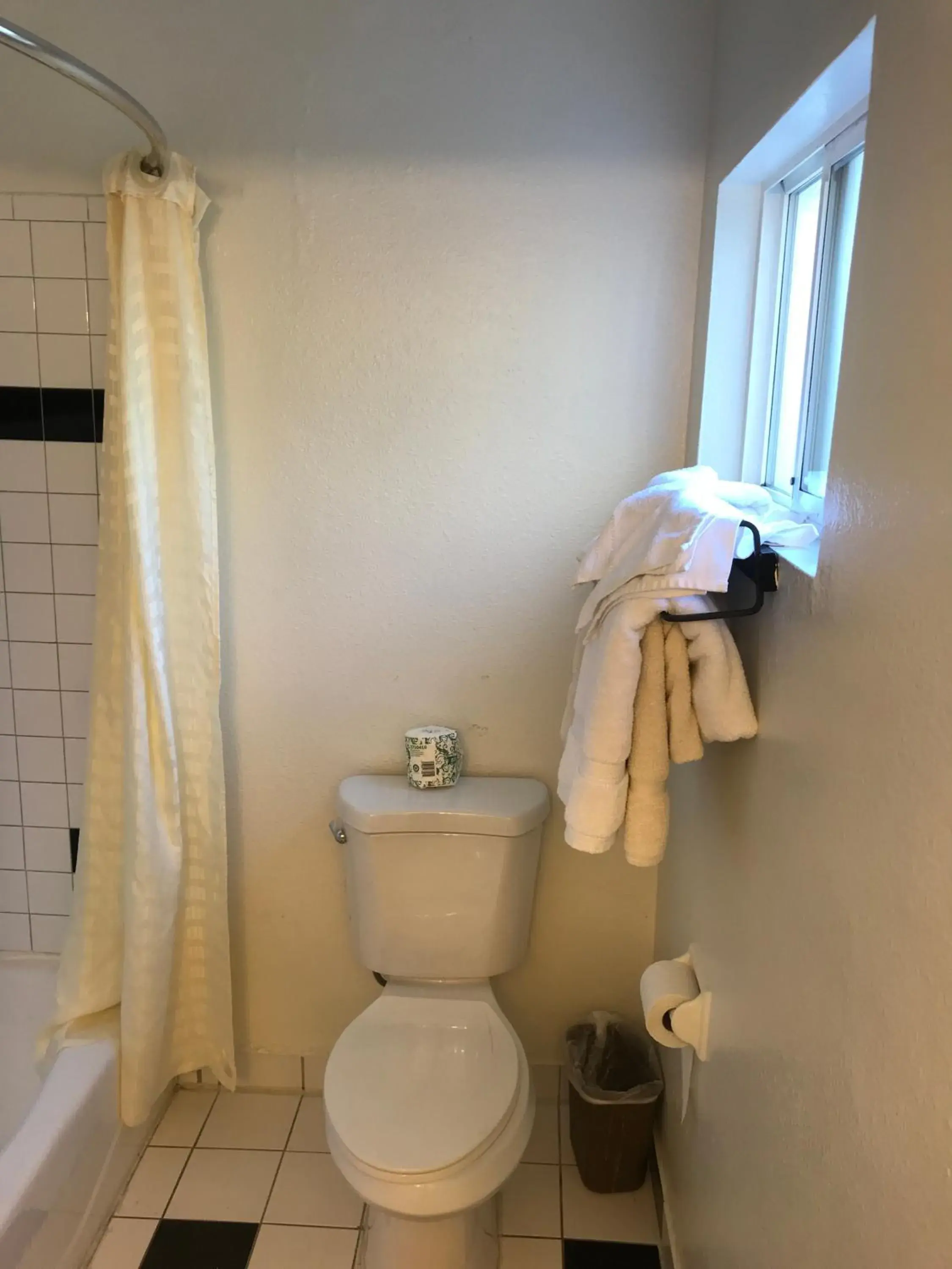 Toilet, Bathroom in Westwind Lodge