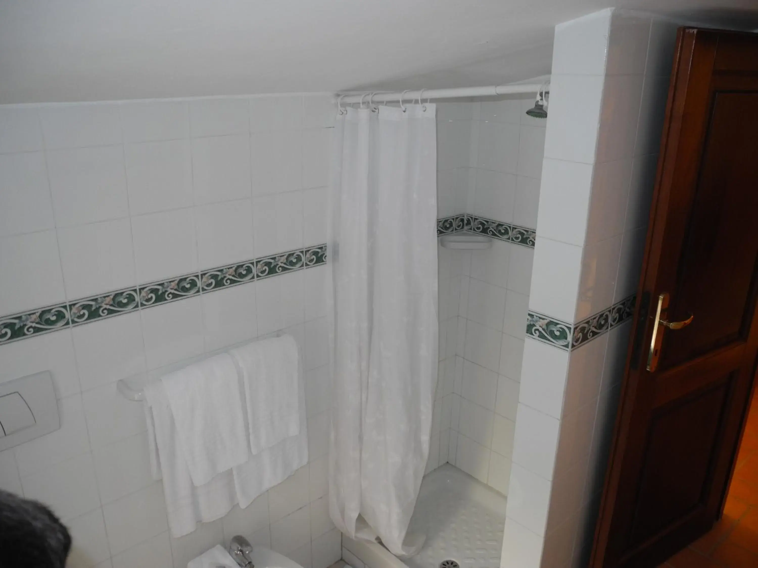 Shower, Bathroom in Hotel Corona