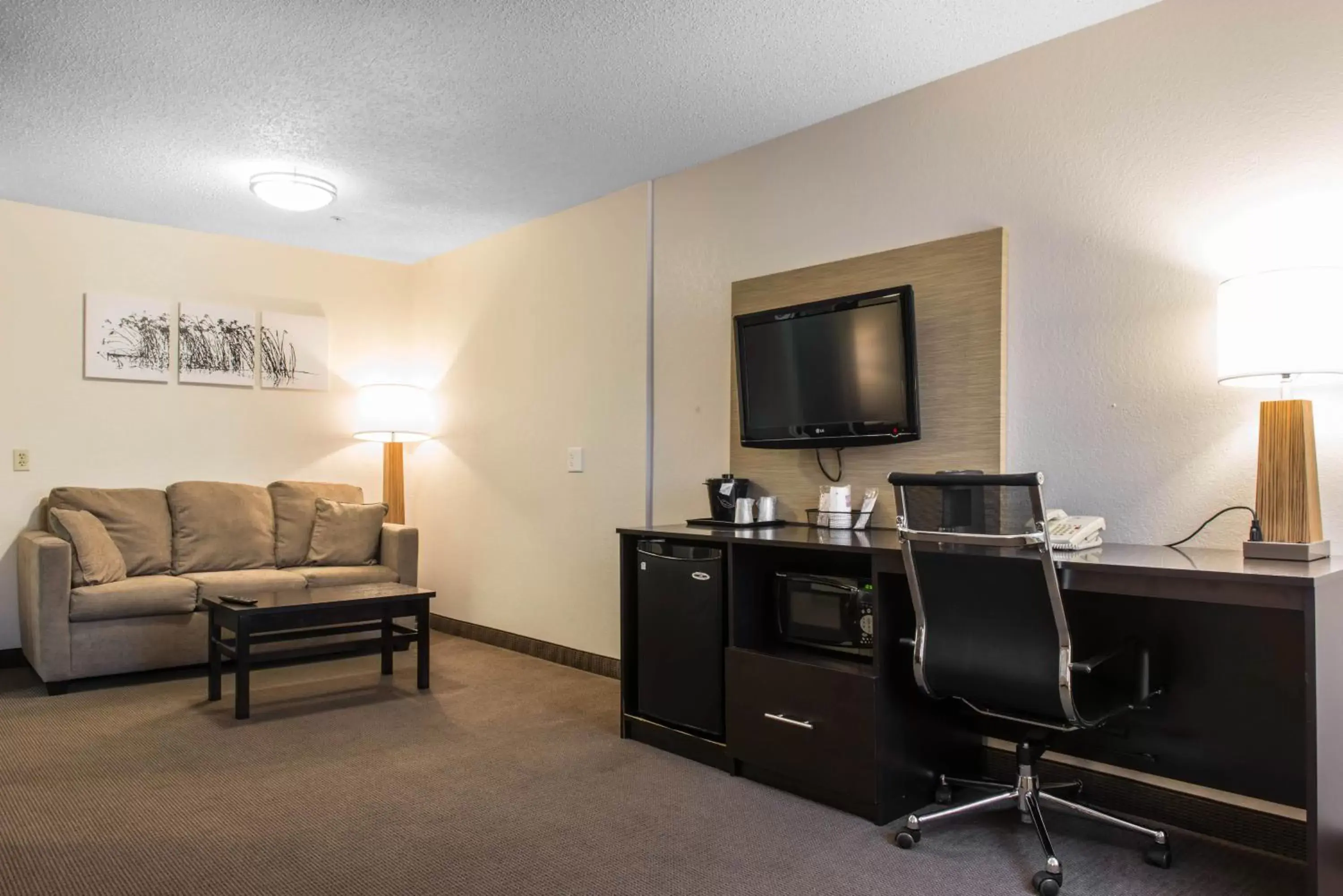 TV and multimedia, TV/Entertainment Center in Mainstay Suites Pittsburgh Airport