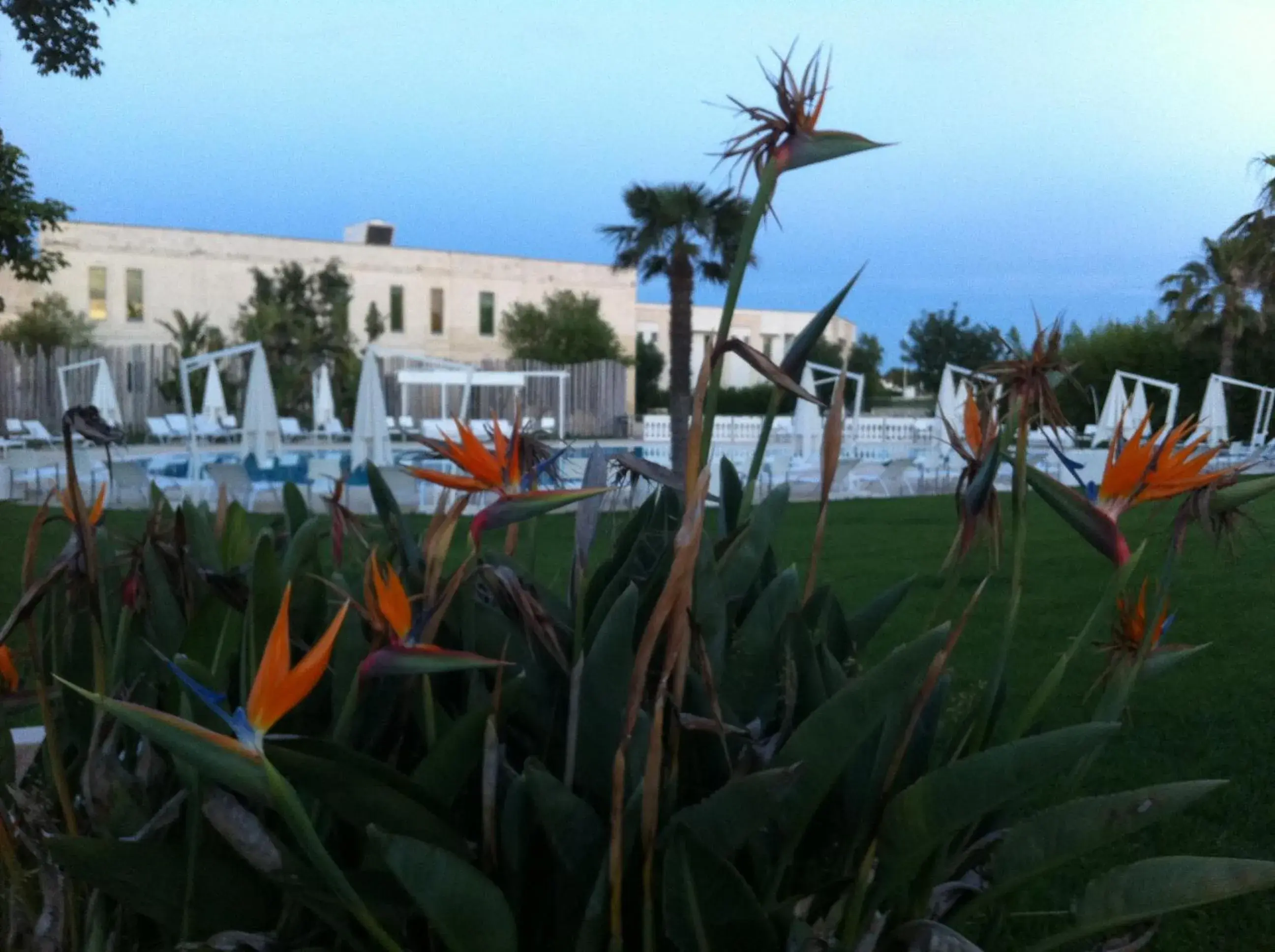Facade/entrance, Swimming Pool in Arthotel & Park Lecce