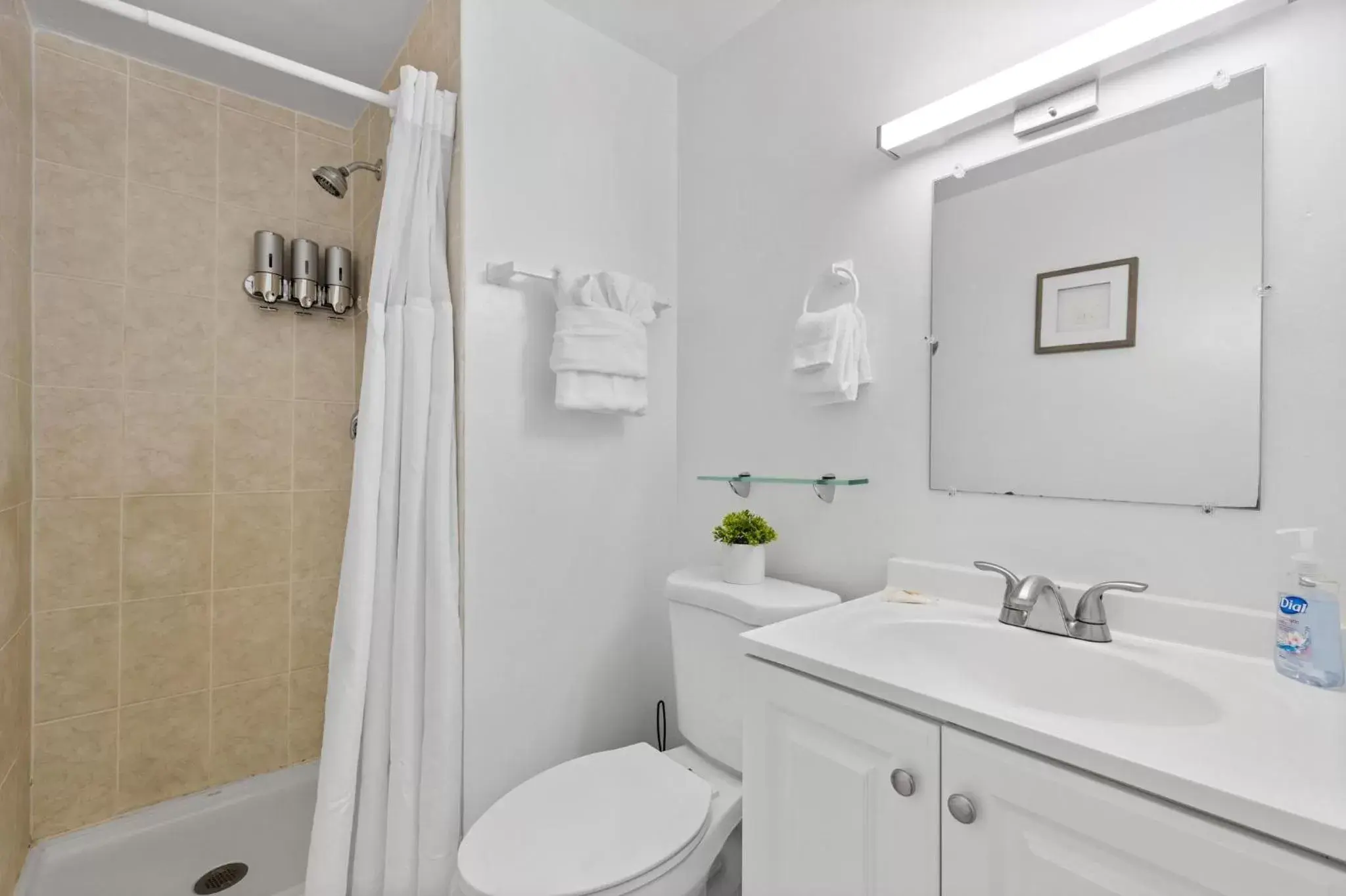 Shower, Bathroom in Sunset Inn-South Miami