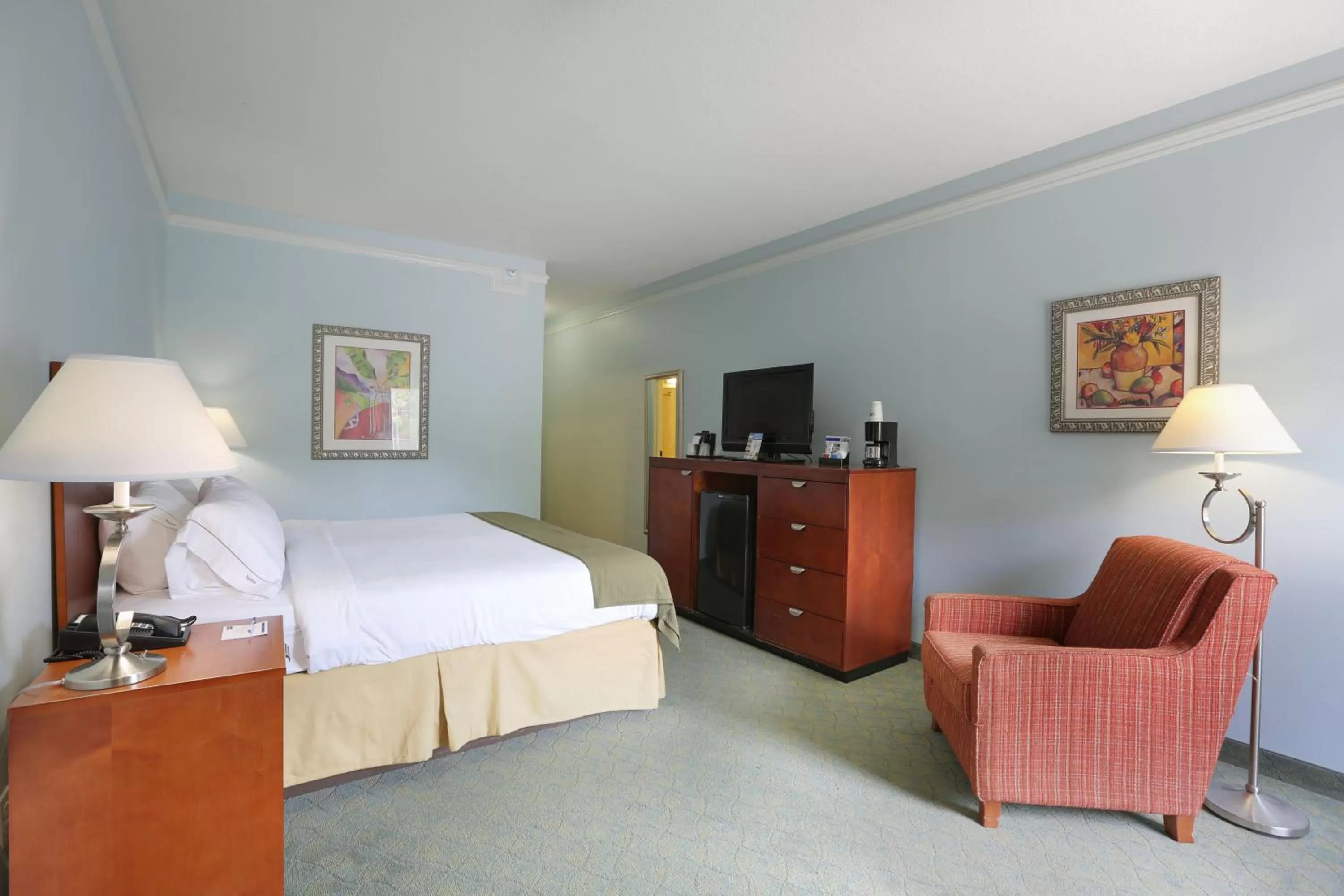 Photo of the whole room, Bed in Holiday Inn Express Tampa North Telecom Park by IHG