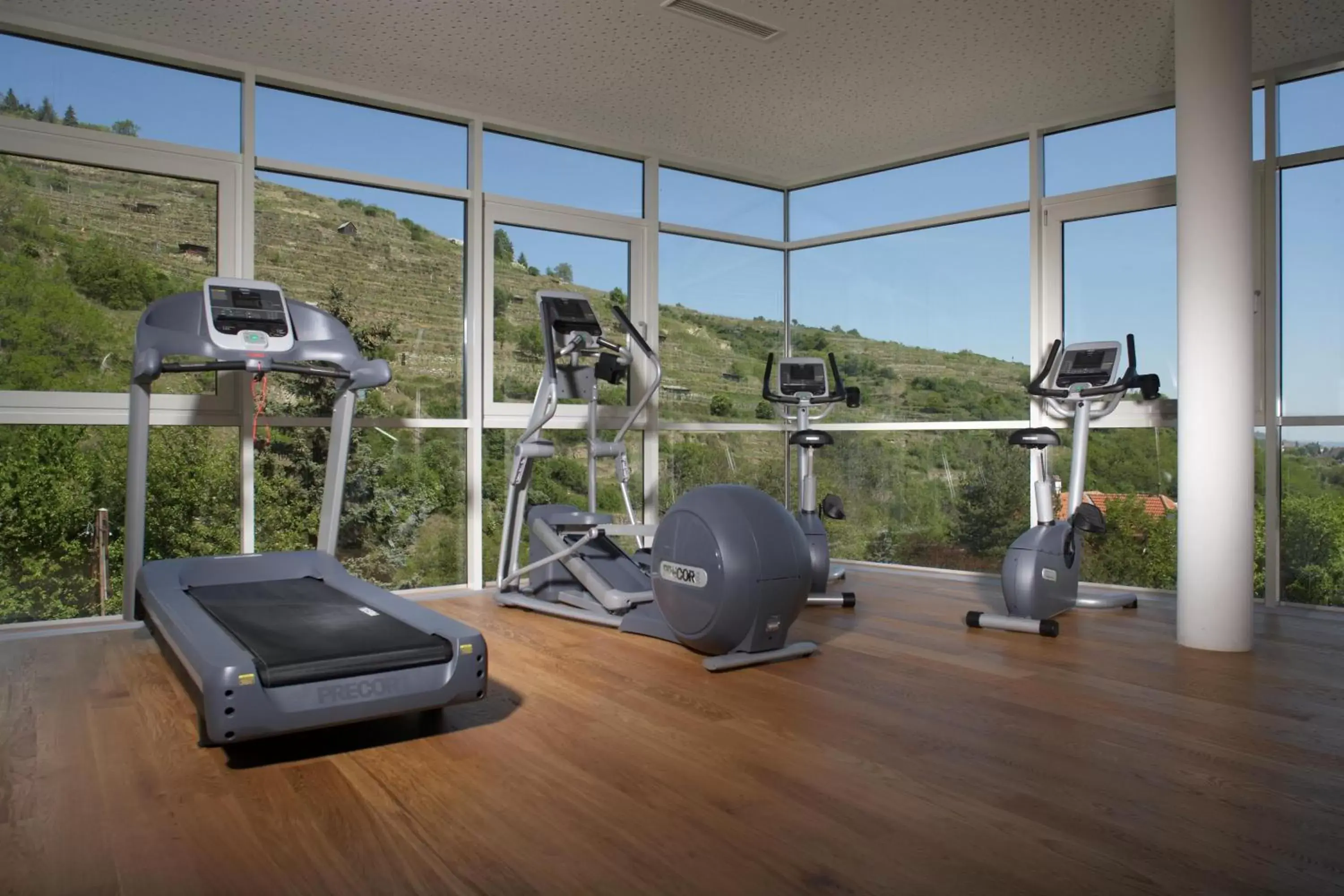 Activities, Fitness Center/Facilities in Steigenberger Hotel & Spa Krems