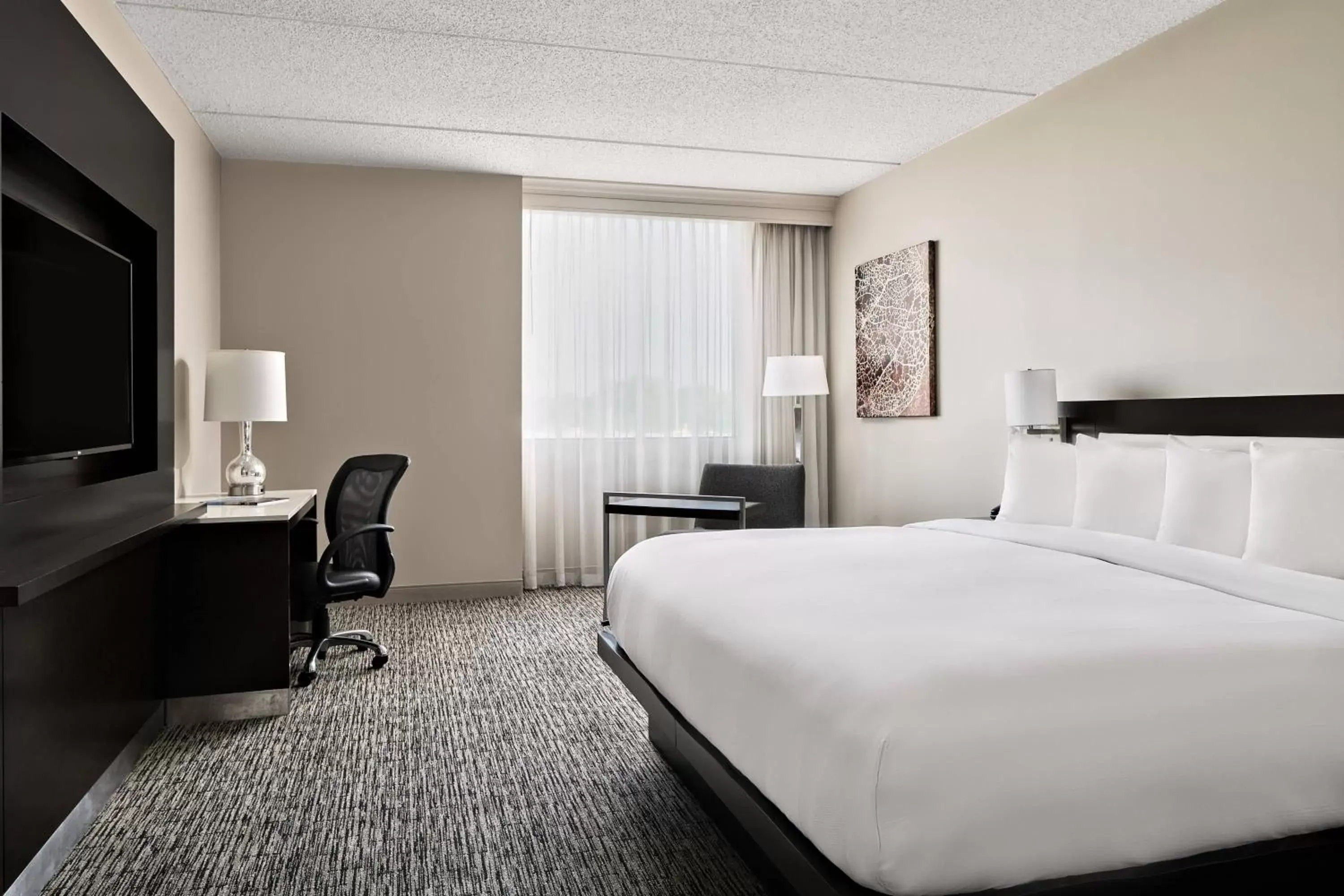 Photo of the whole room, Bed in Austin Marriott North