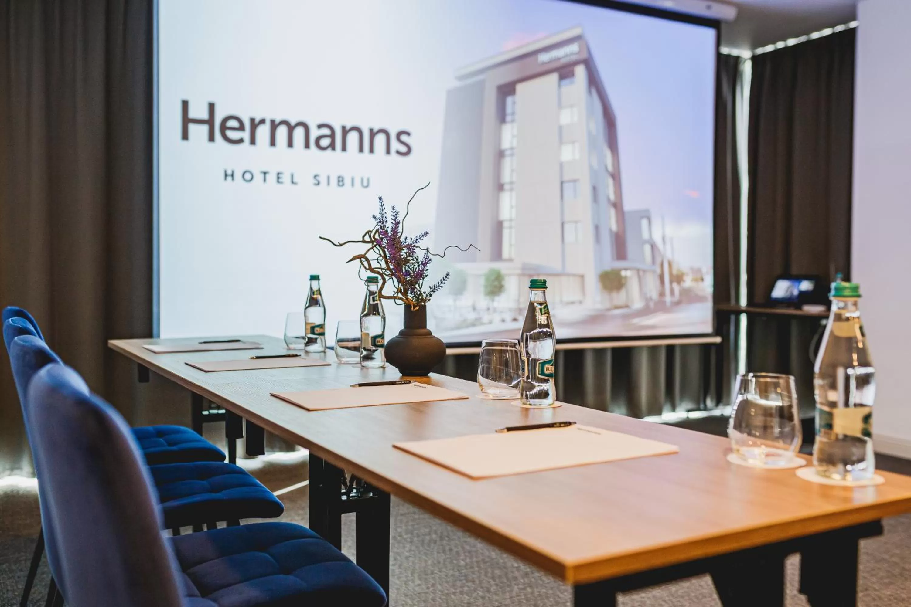 Business facilities in Hermanns Hotel & Spa Sibiu