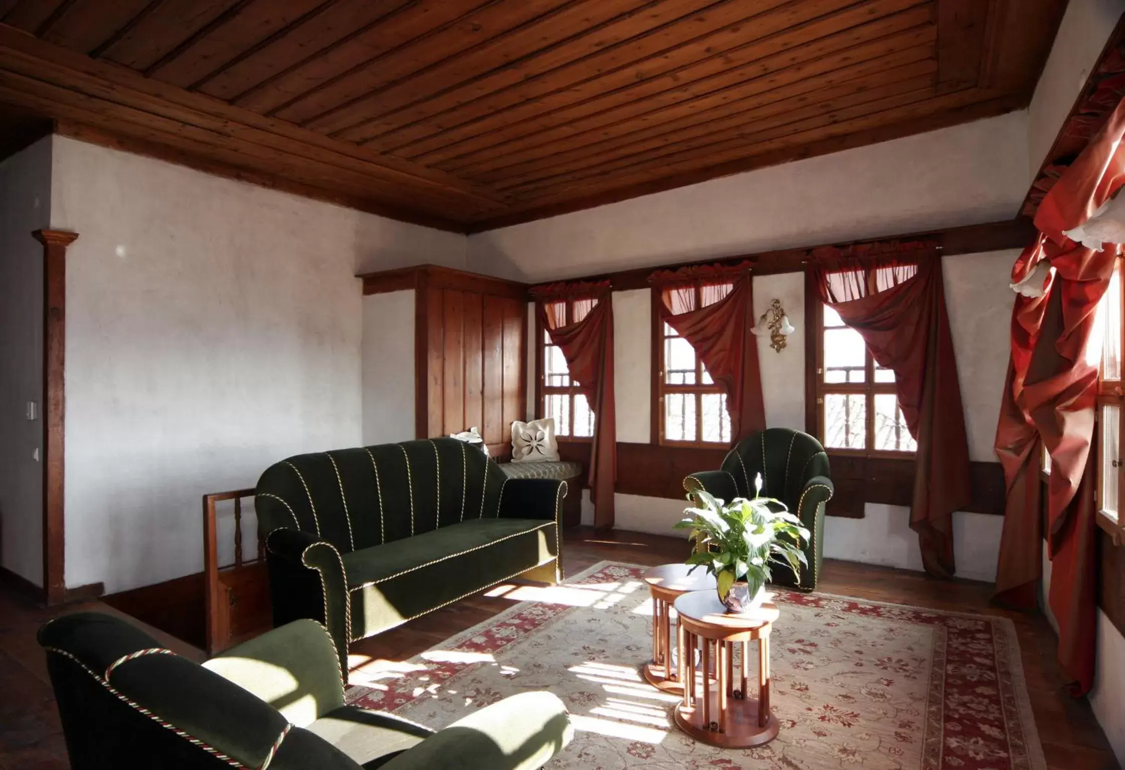 Communal lounge/ TV room, Seating Area in Gulevi Safranbolu
