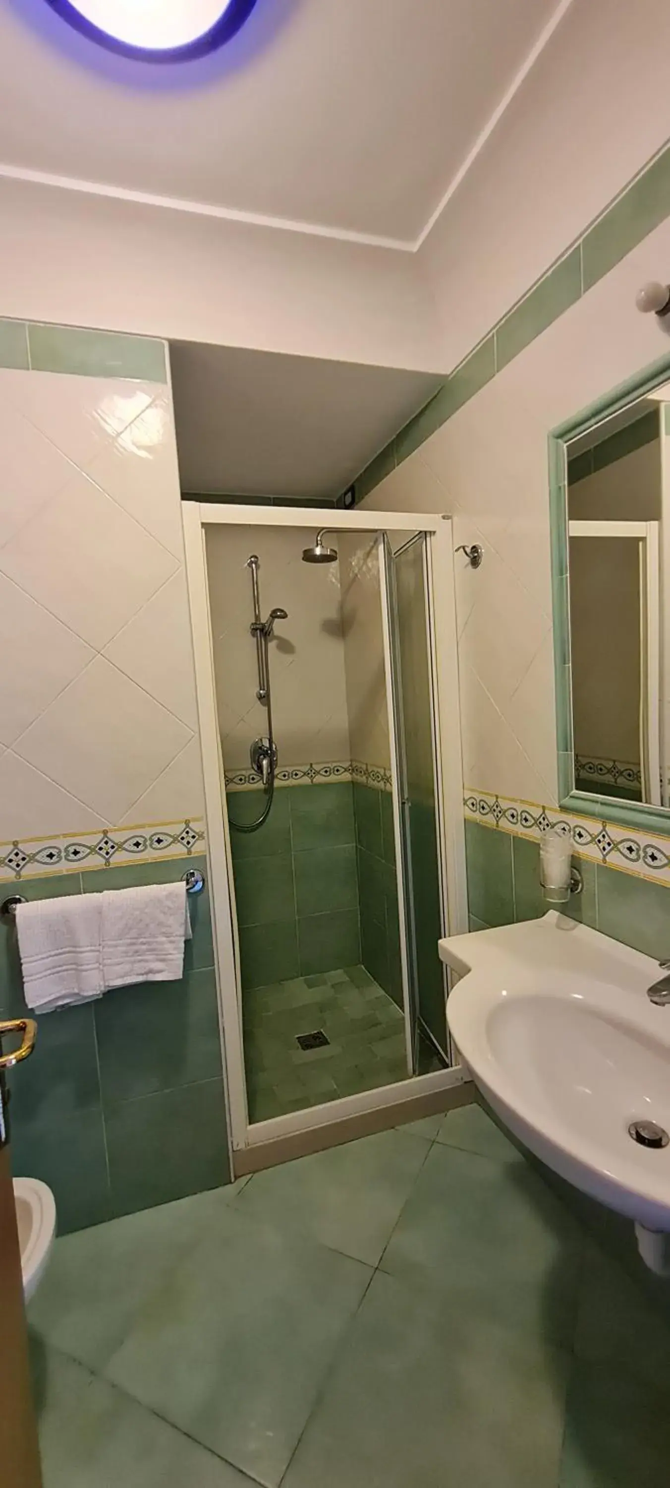 Shower, Bathroom in Hotel Albatros