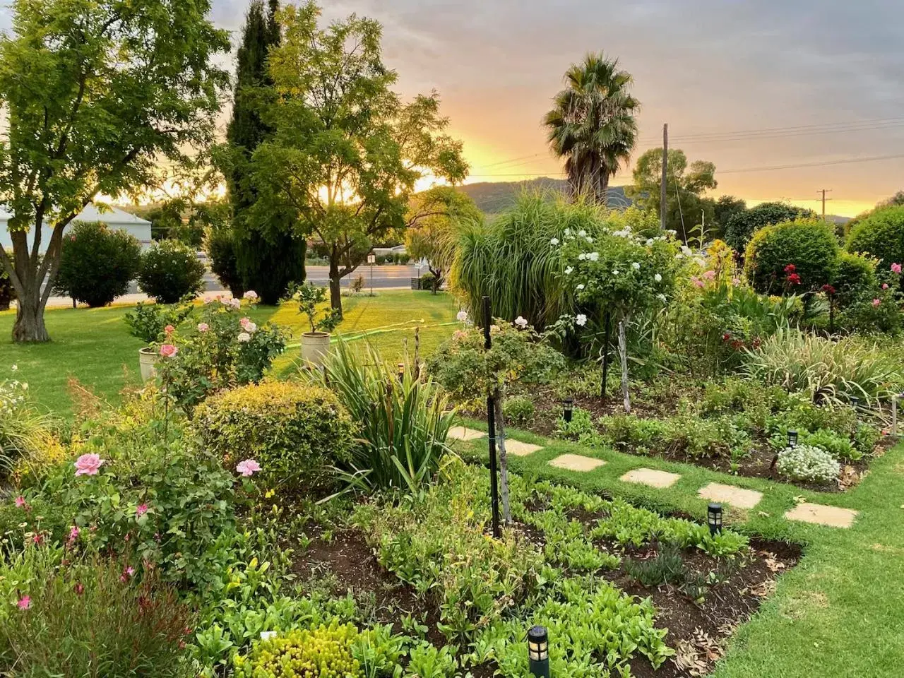 Natural landscape, Garden in Quirindi Sunflower Motor Inn