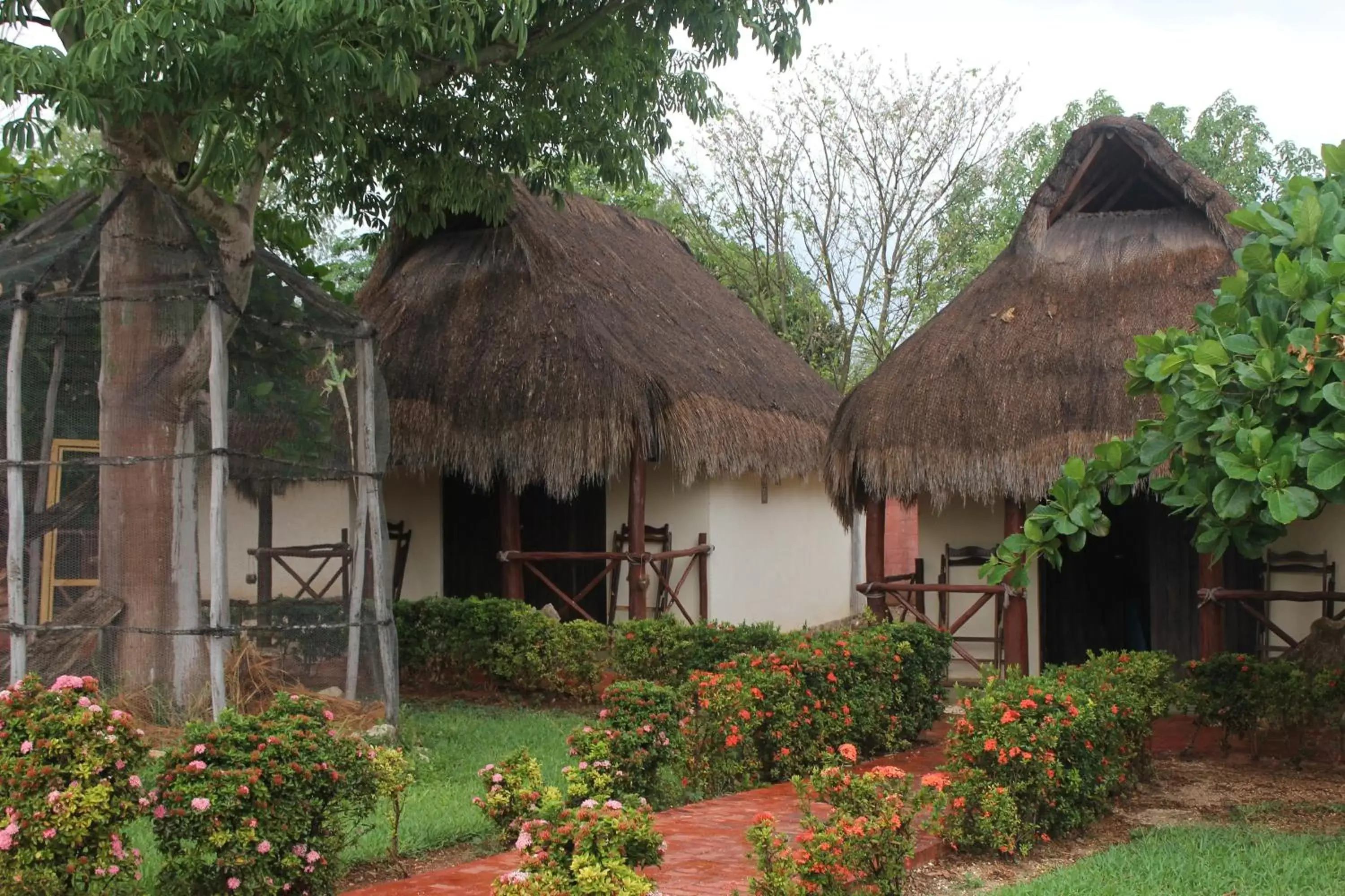 Property Building in Mangrove King Fishing Lodge