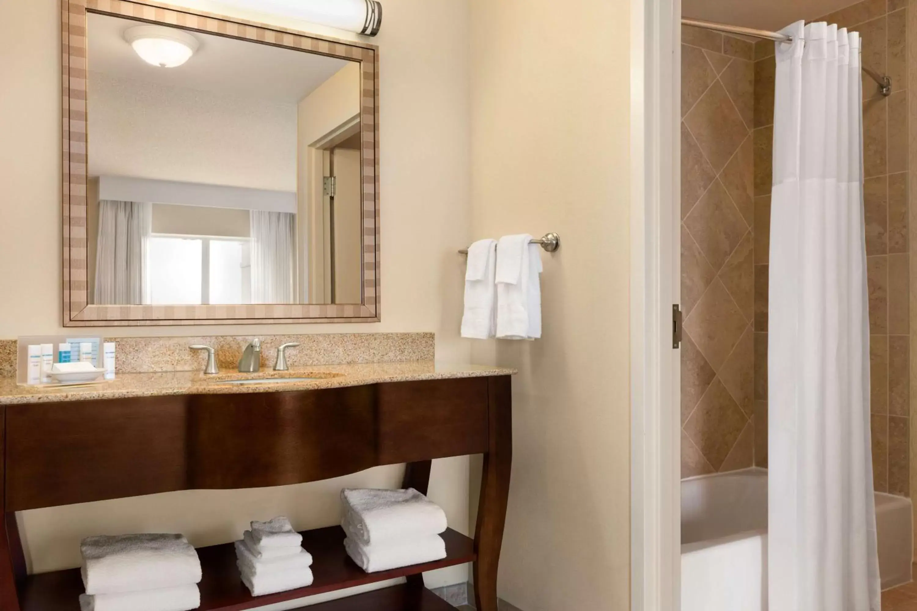 Bathroom in Hampton Inn & Suites Washington-Dulles International Airport