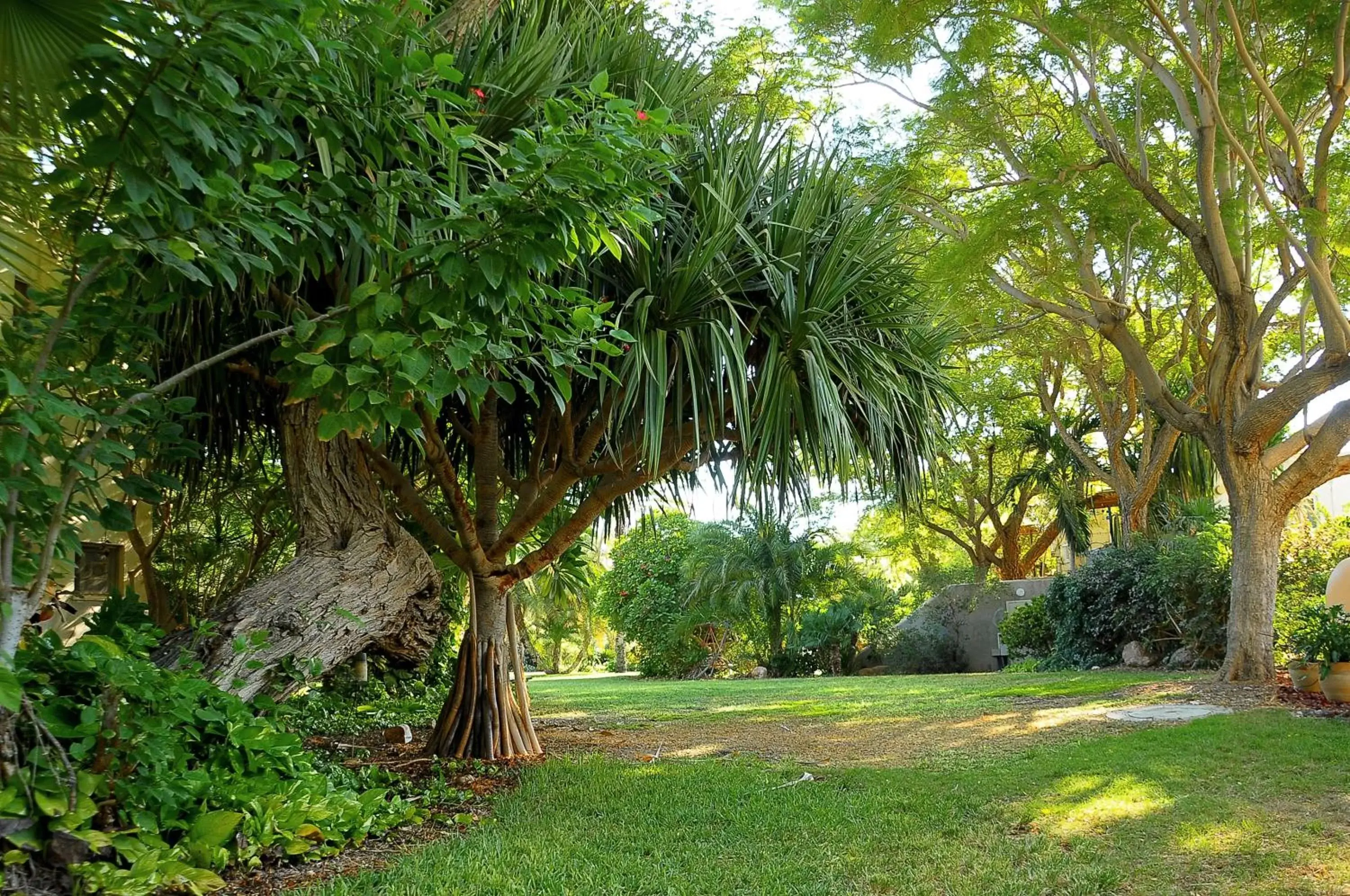 Garden view, Garden in Ein Gedi Kibbutz Hotel