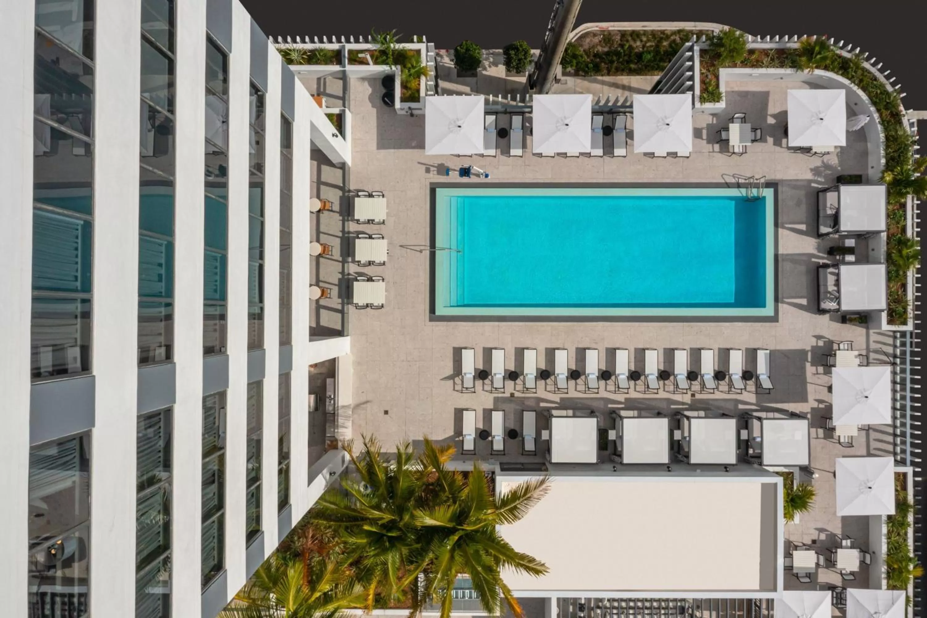 Swimming pool in Element Miami Brickell