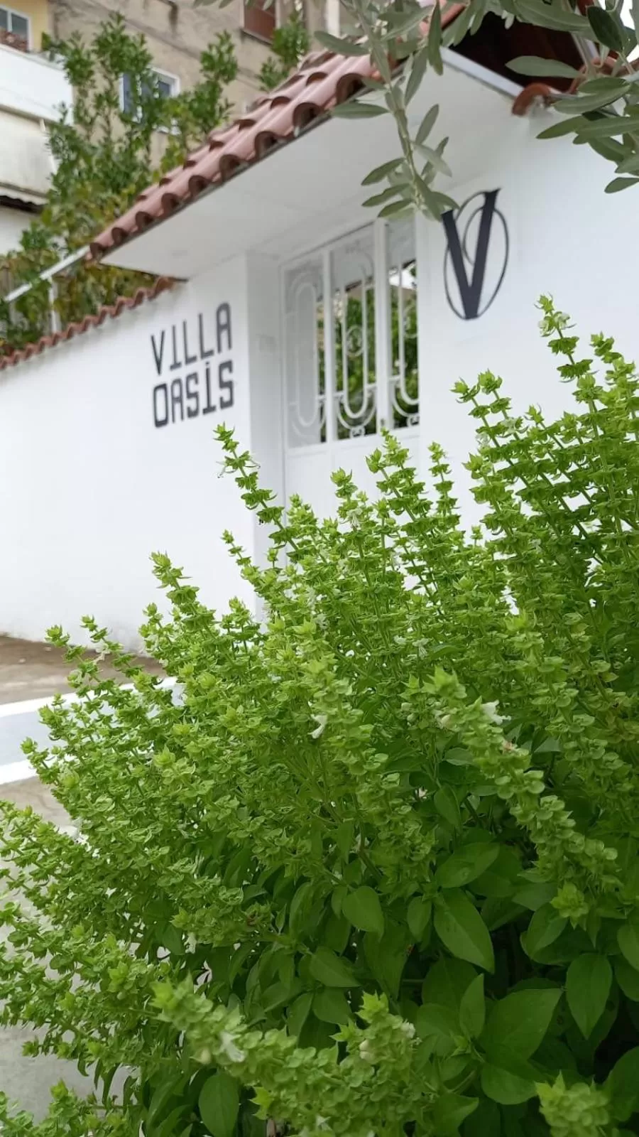 Property Logo/Sign in Villa Oasis