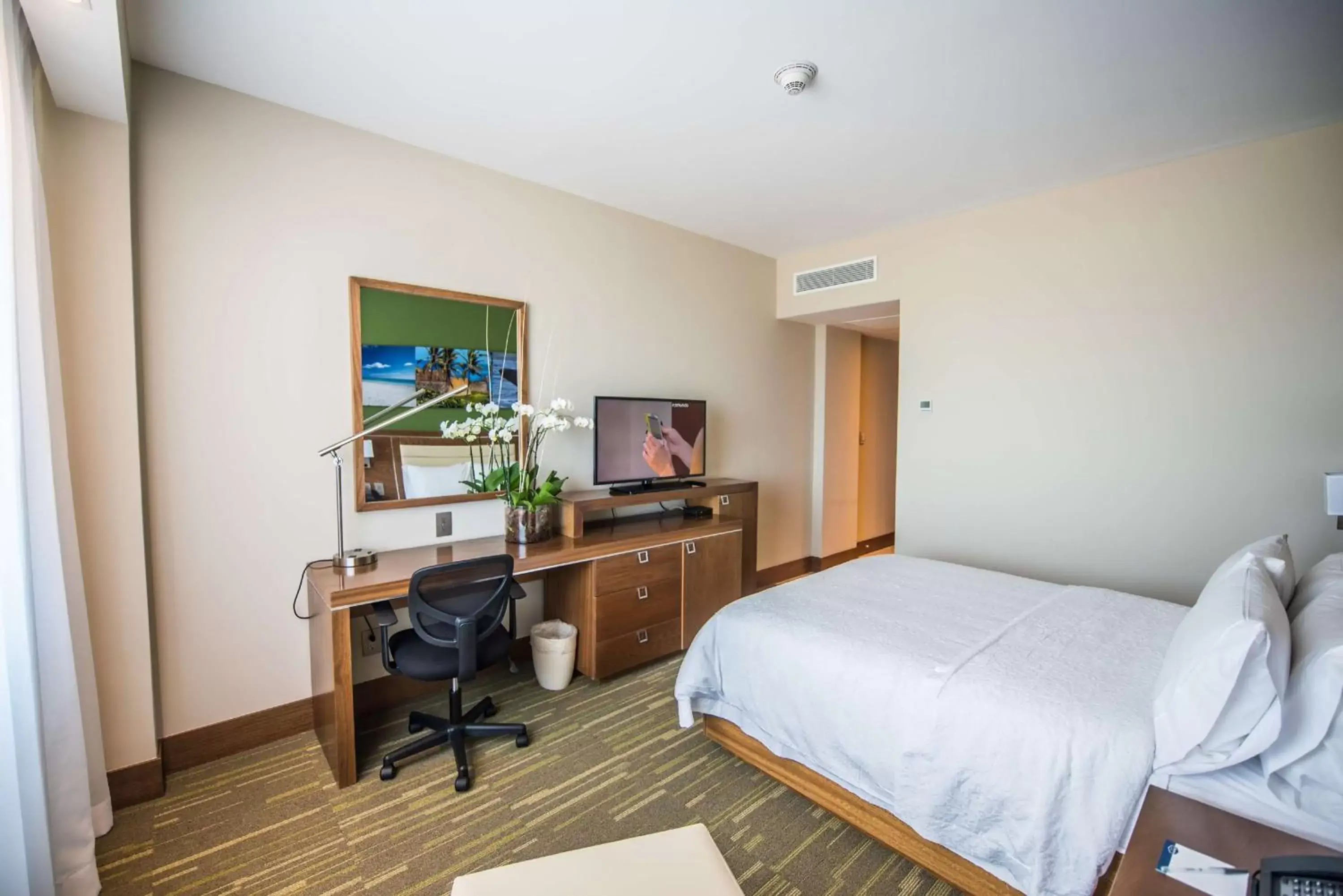 Bedroom in Hampton By Hilton Santo Domingo Airport