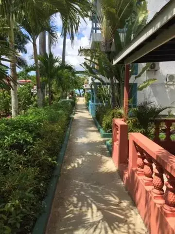 Garden in Negril Beach Club Condos