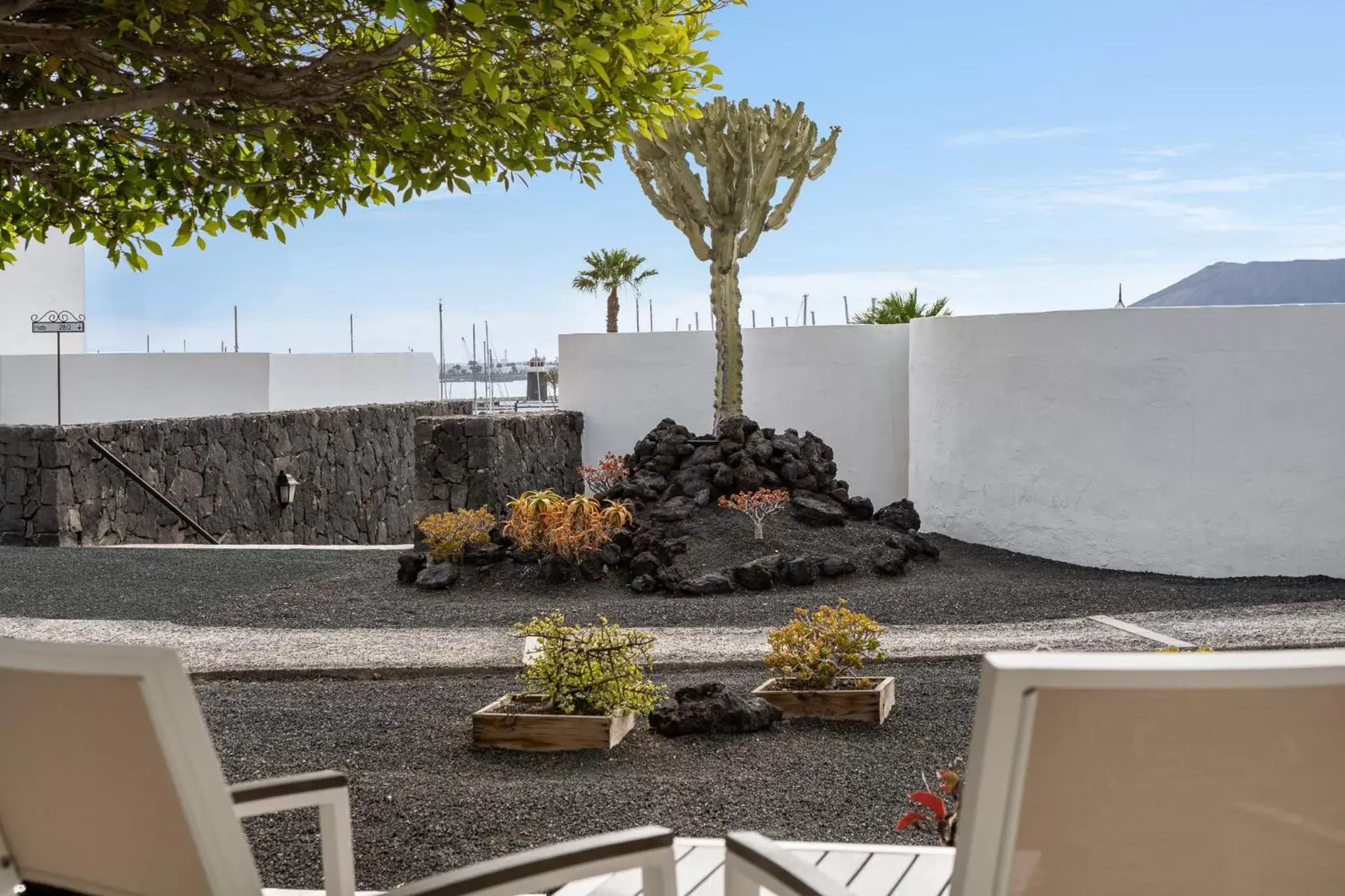 Garden view in Hotel LIVVO Volcán Lanzarote