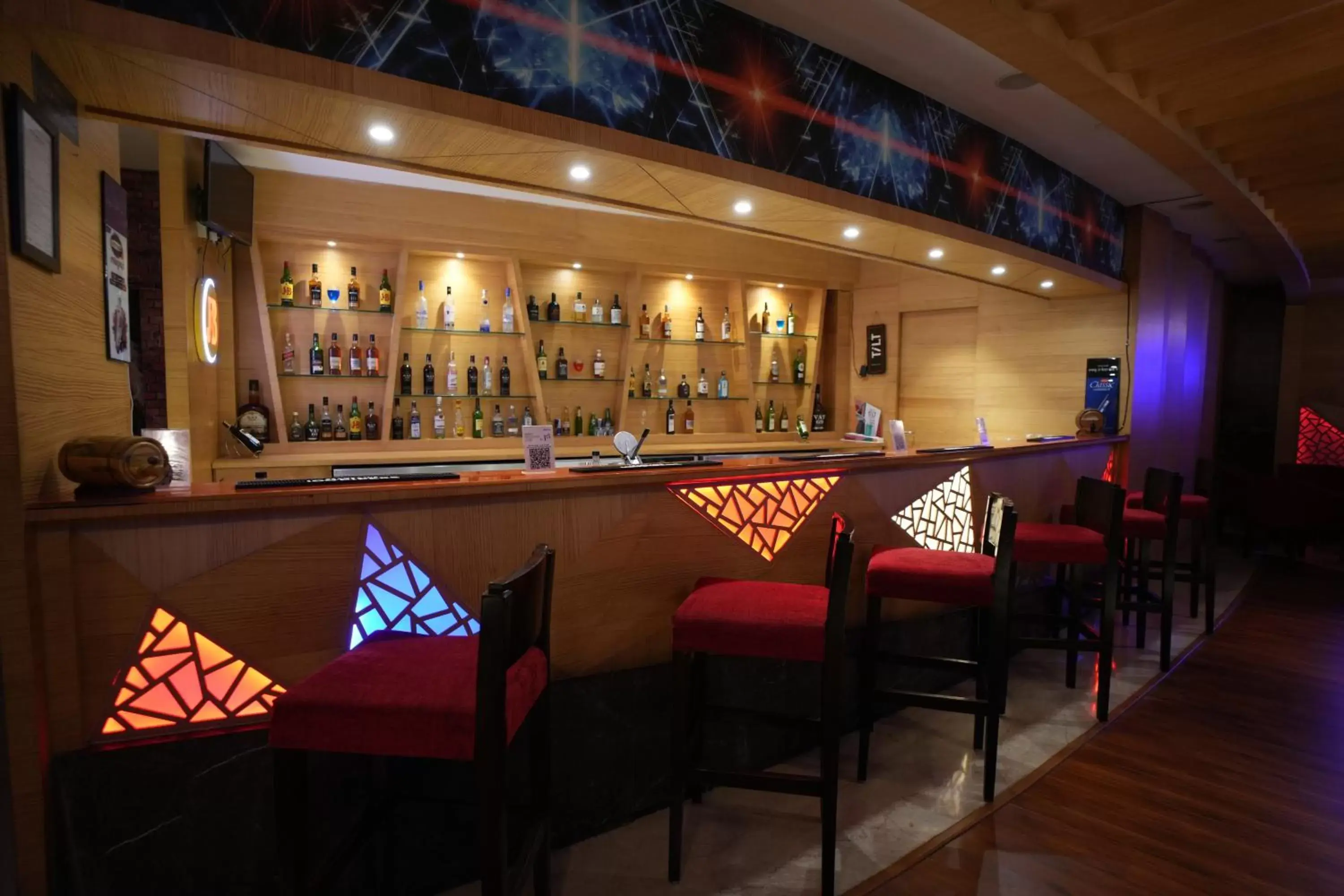 Lounge/Bar in Radisson Udaipur