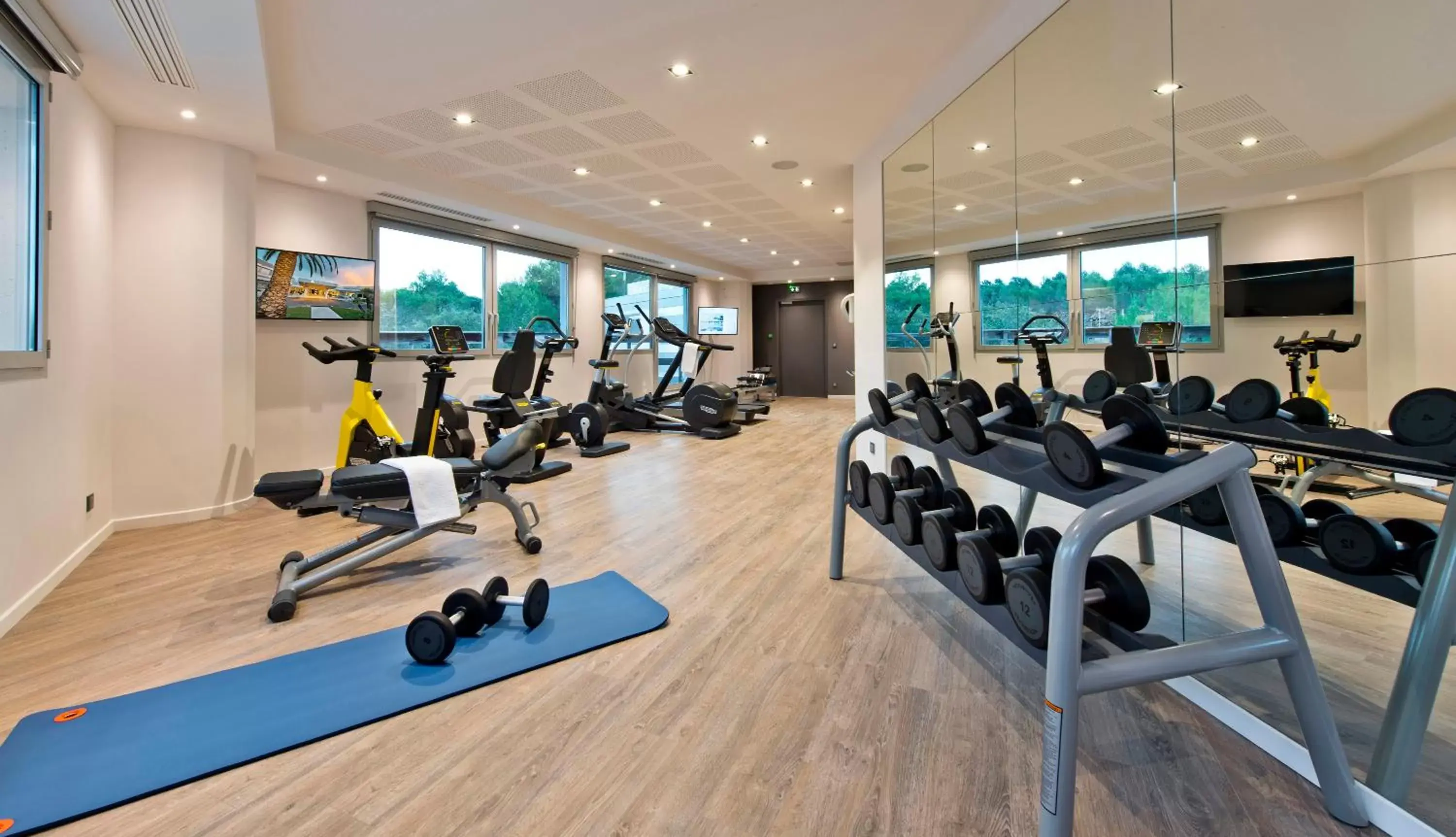 Day, Fitness Center/Facilities in Golden Tulip Sophia Antipolis - Hotel & Spa