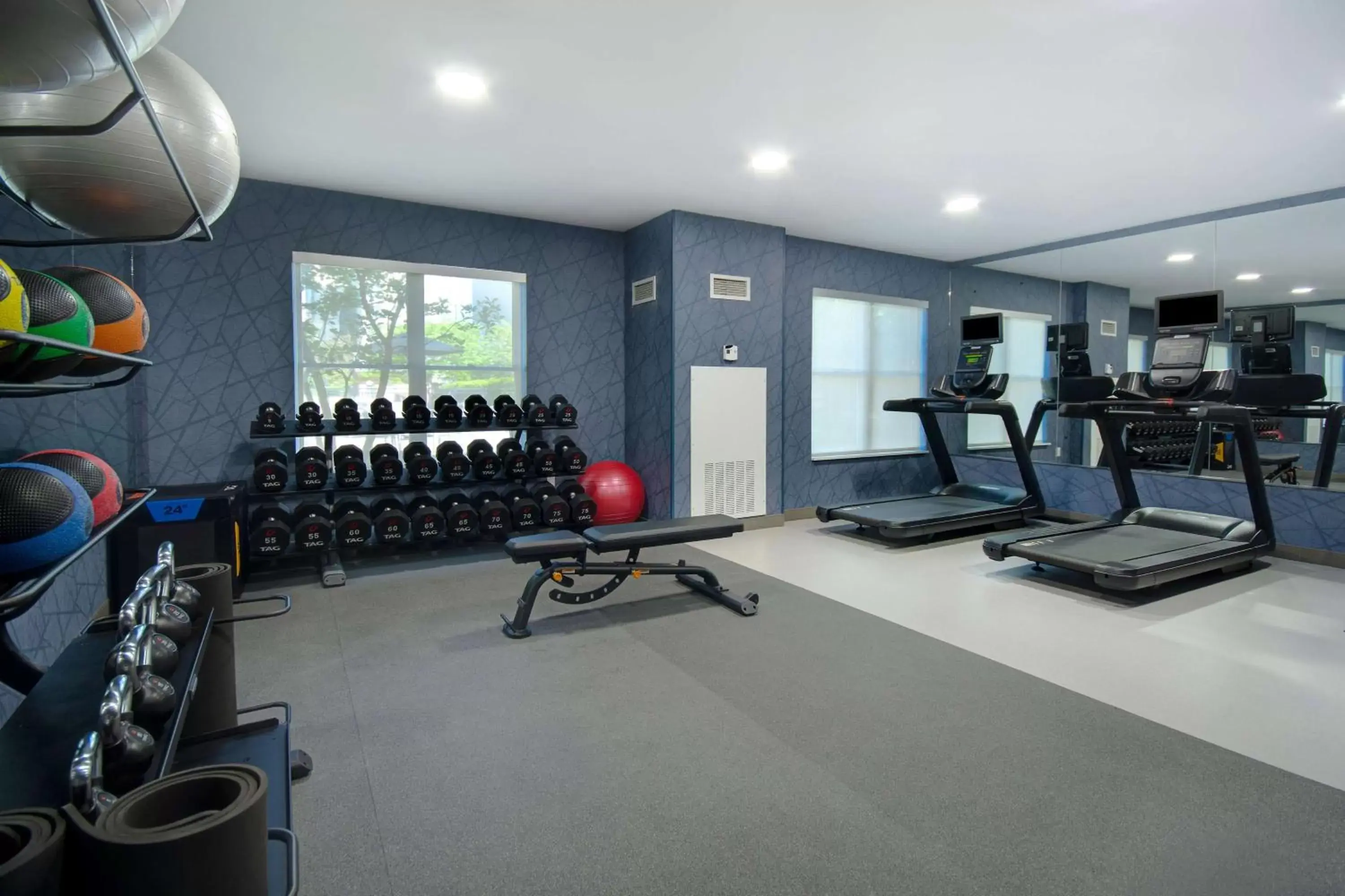 Fitness centre/facilities, Fitness Center/Facilities in Homewood Suites By Hilton Lexington
