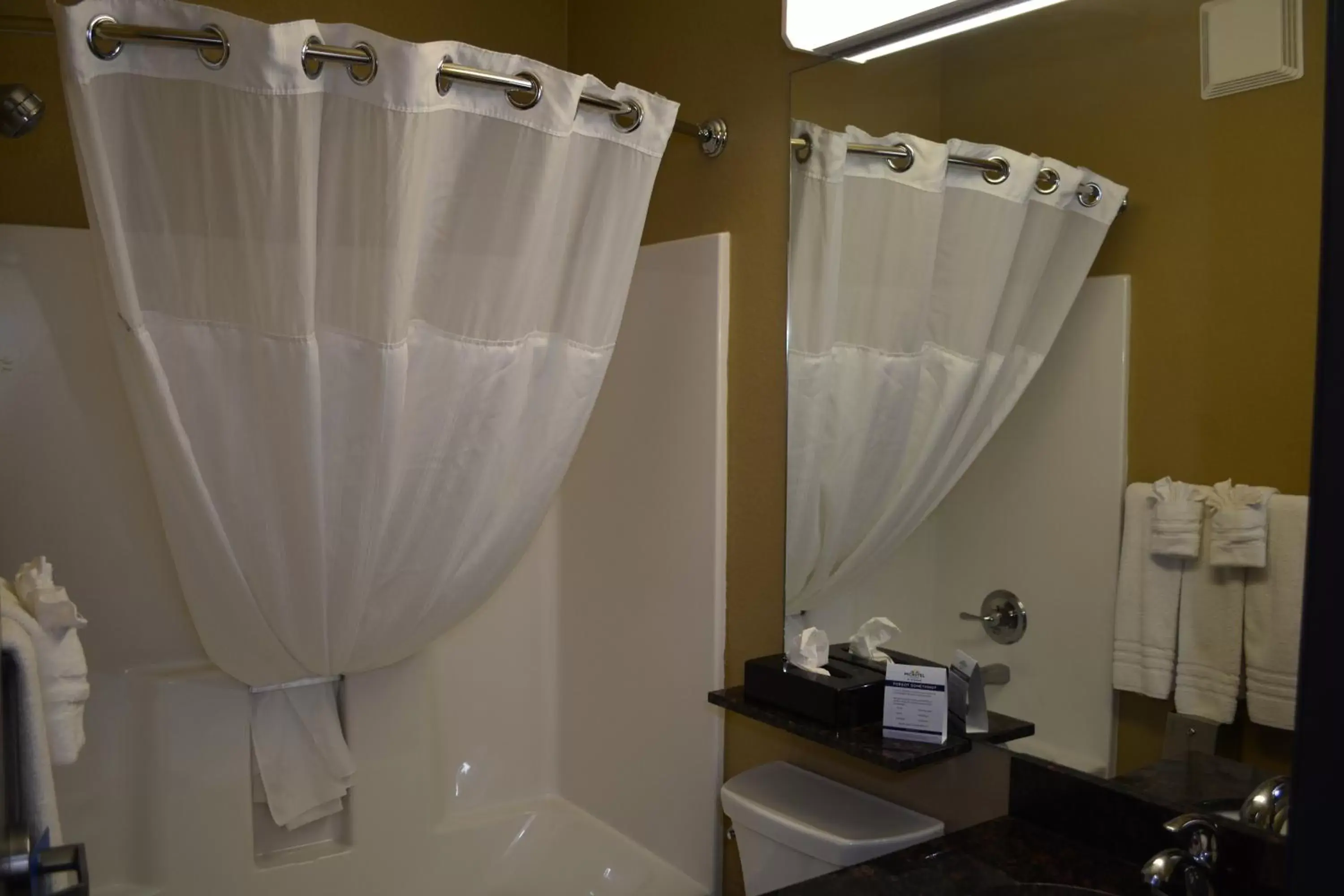Bathroom in Microtel Inn & Suites Gonzales TX