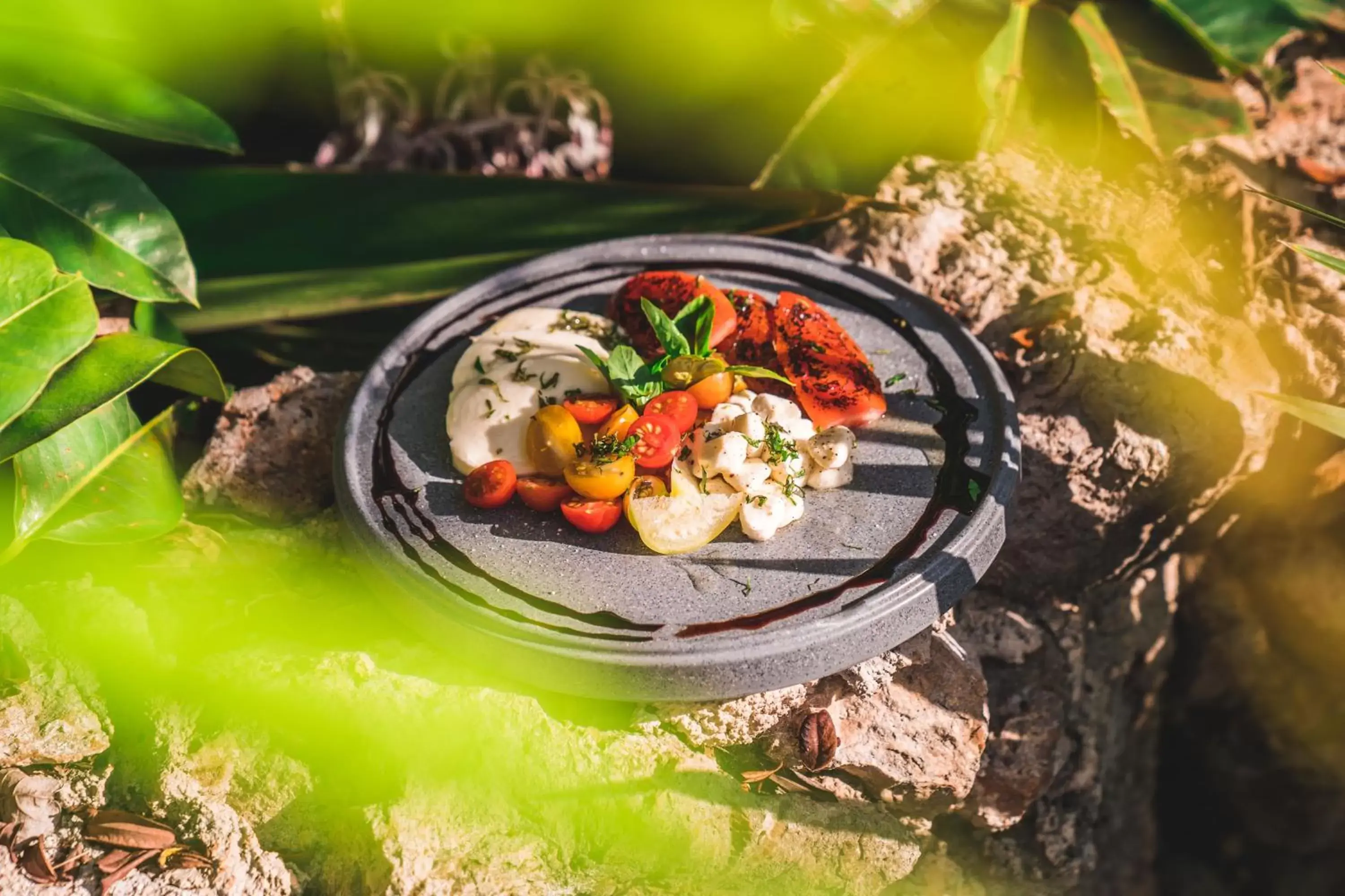 Restaurant/places to eat in Destino Mío Mayan Jungle Retreat Restaurant/places to eat in Destino Mío Mayan Jungle Retreat